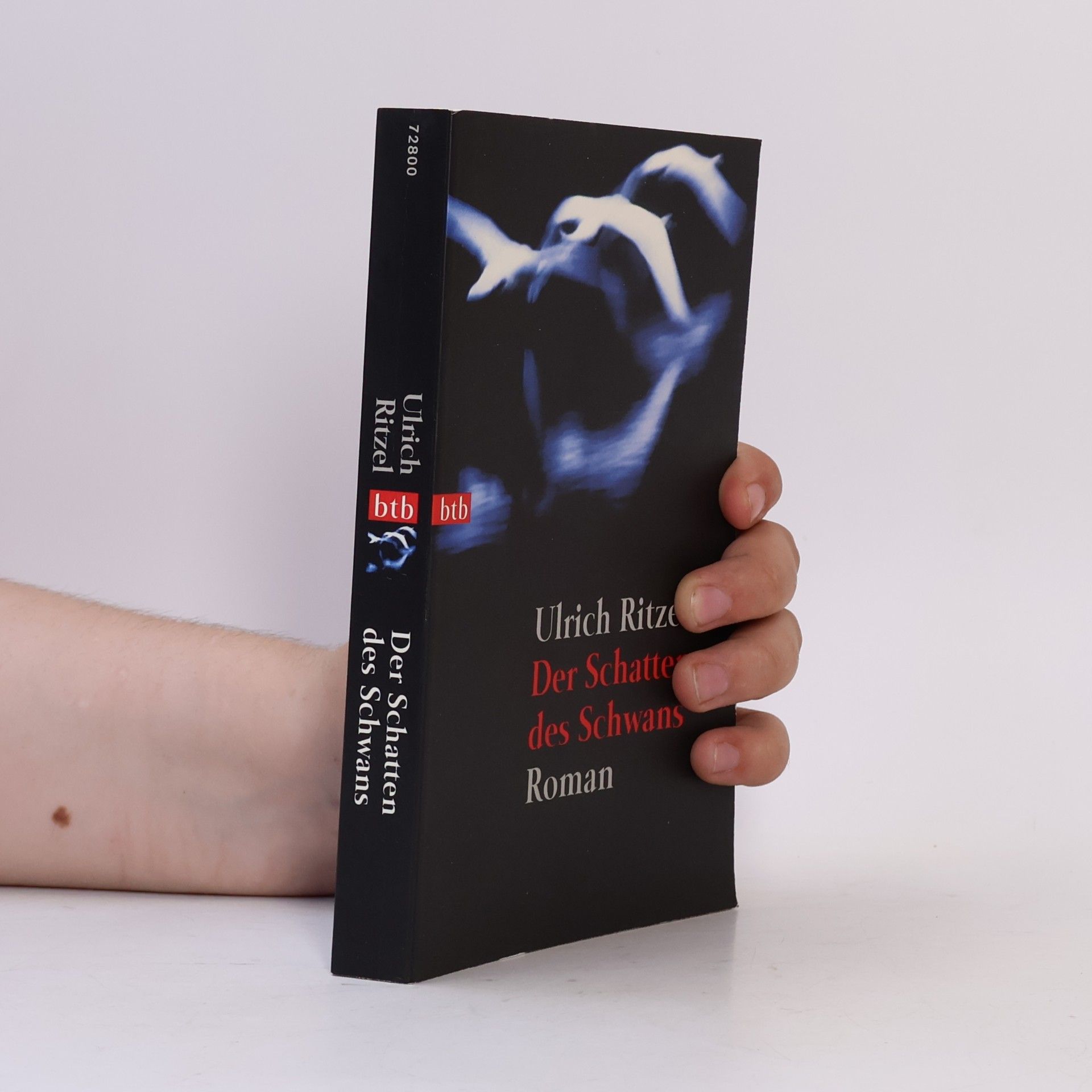 Ulrich Ritzel Der Schatten des Schwans