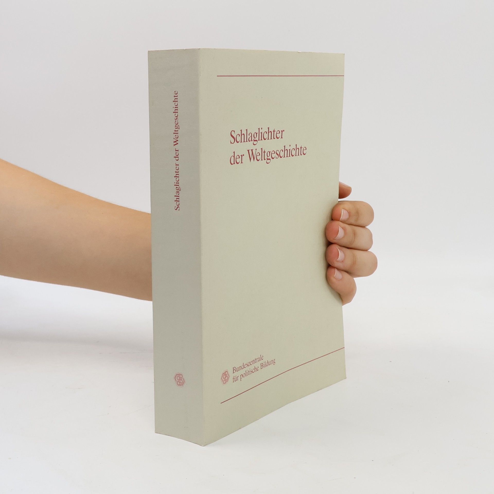 Autorenkollektiv Schlaglichter der Weltgeschichte