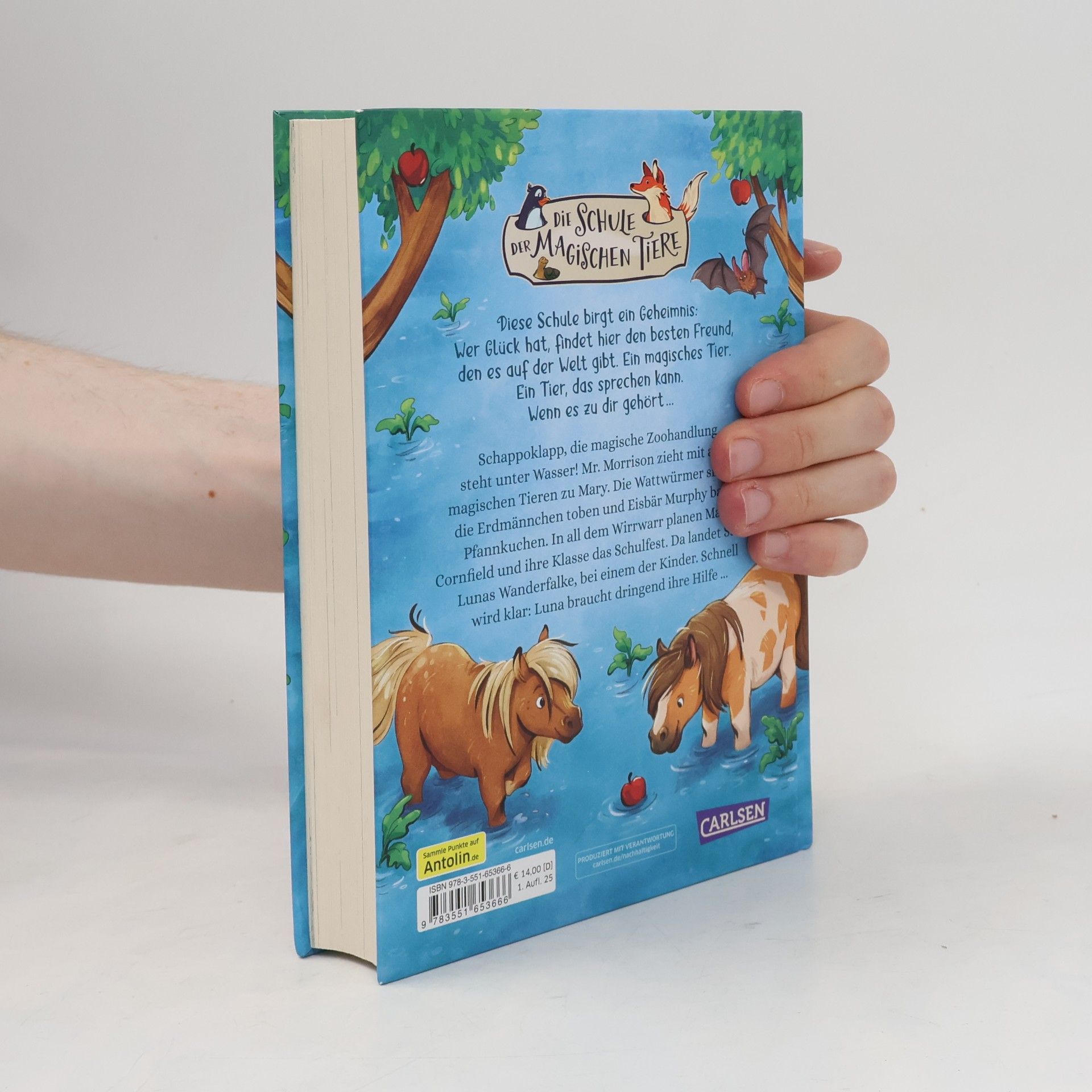 Margit Auer Die Schule der magischen Tiere Neuausgabe 16: Land unter!