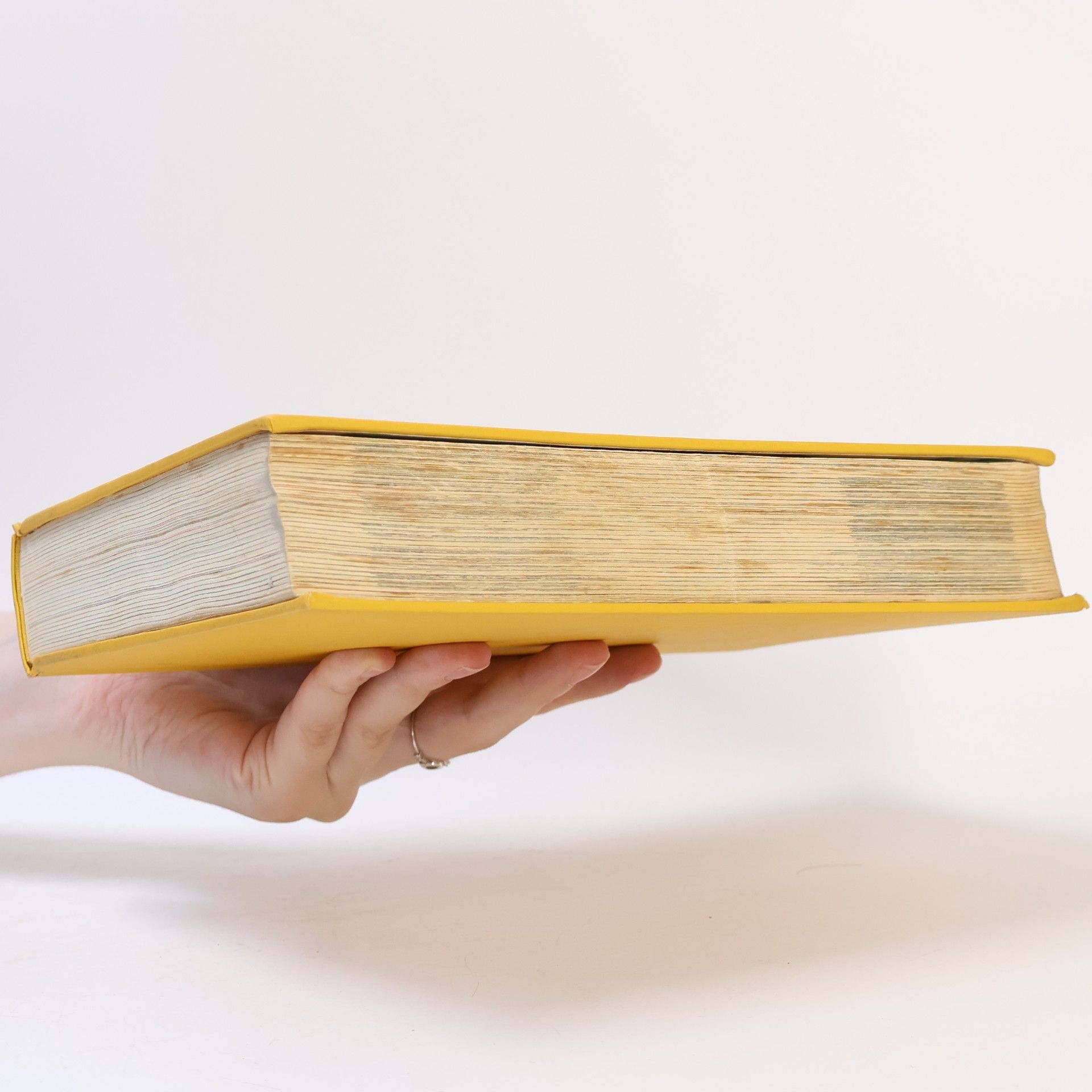 Roland Gööck Das neue große Kochbuch