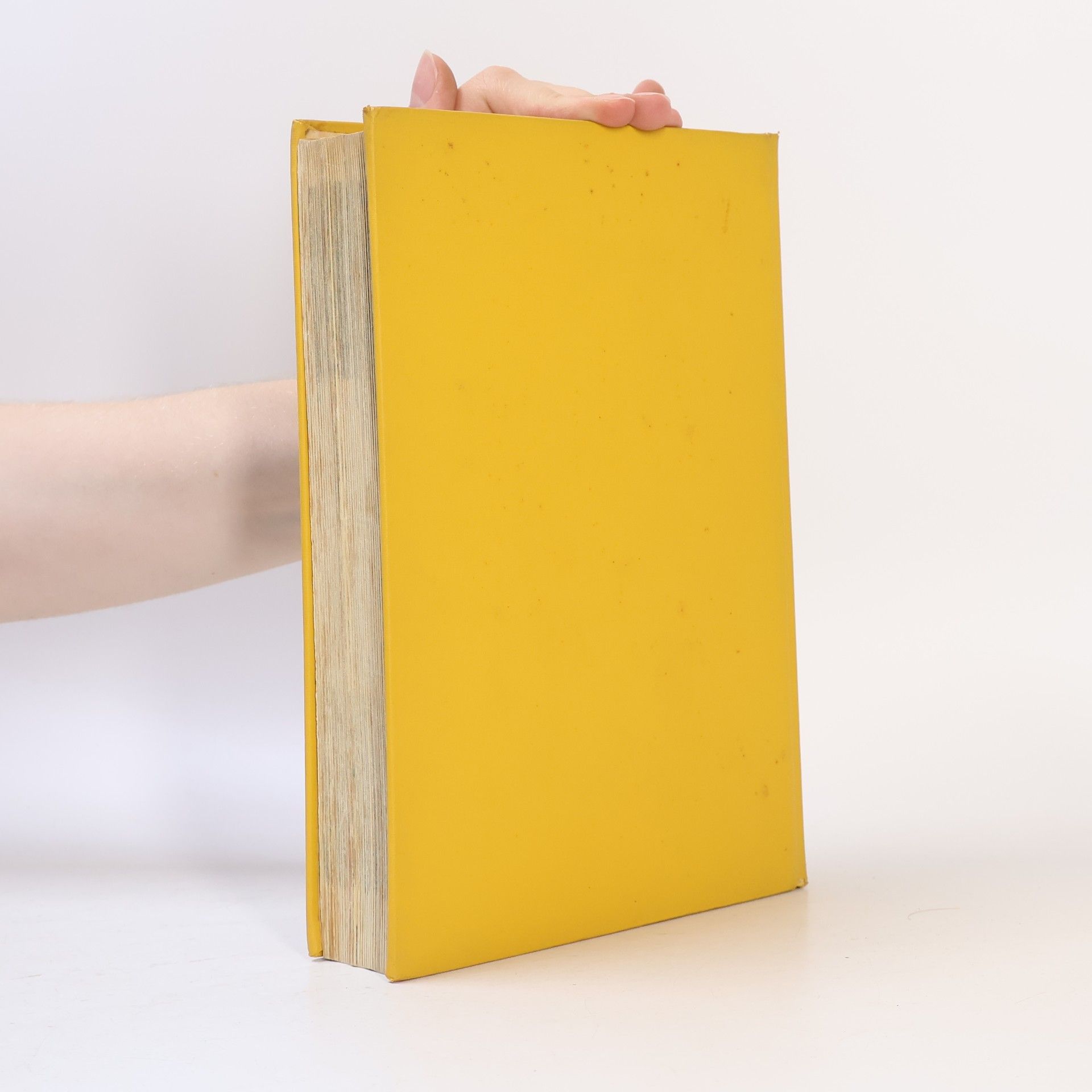 Roland Gööck Das neue große Kochbuch