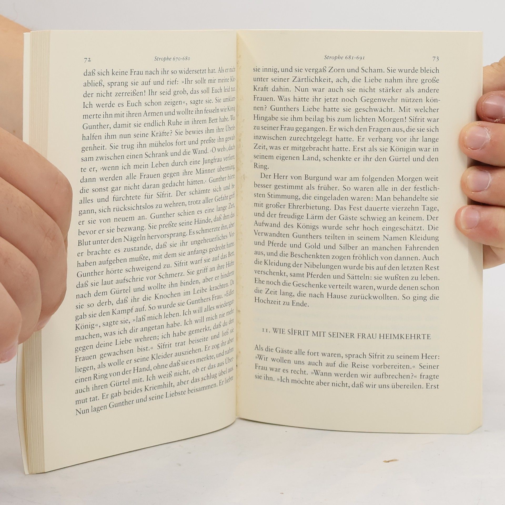 Kolektiv autorů Das Nibelungenlied