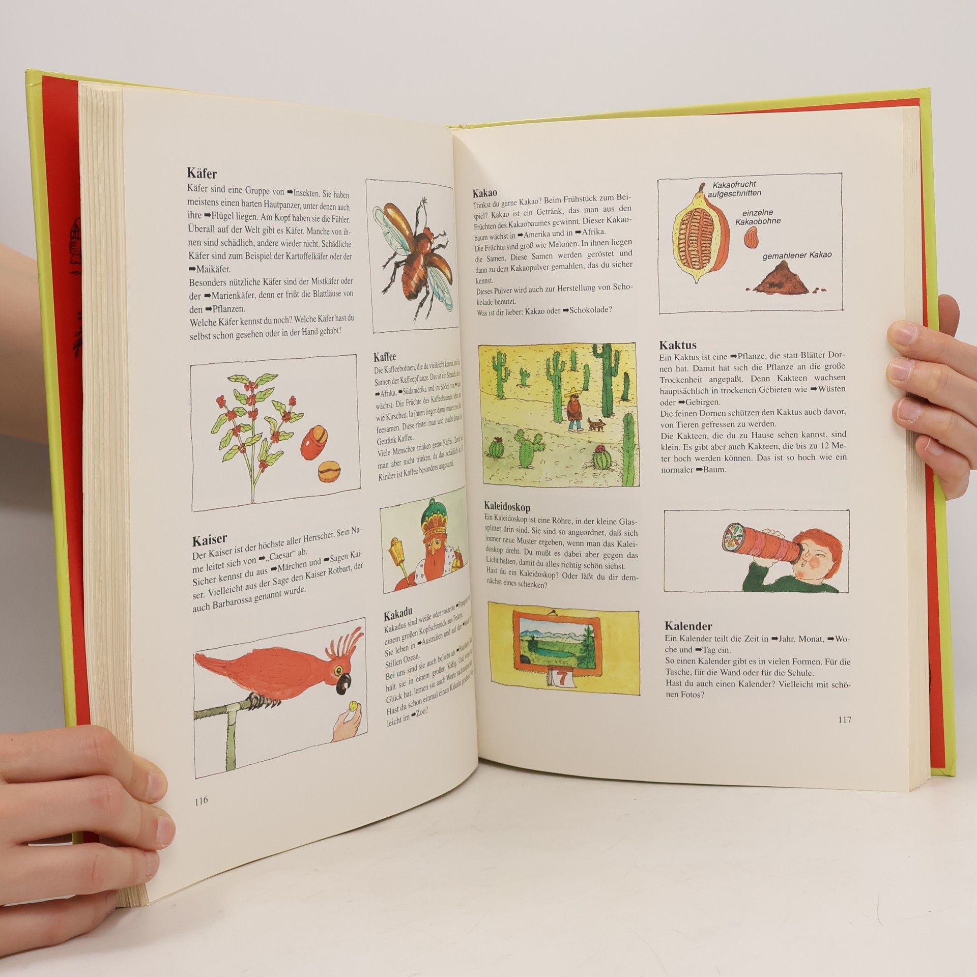 Collectif d'auteurs Das grosse Kinderlexikon