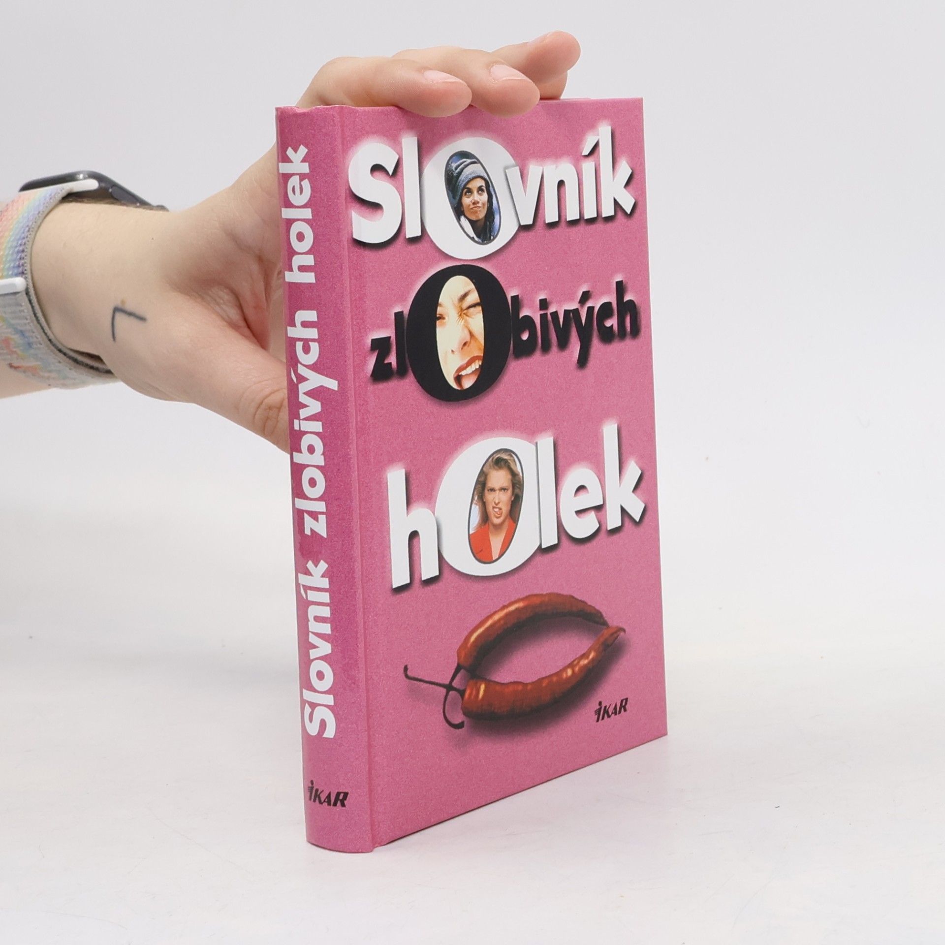 Slovník zlobivých holek