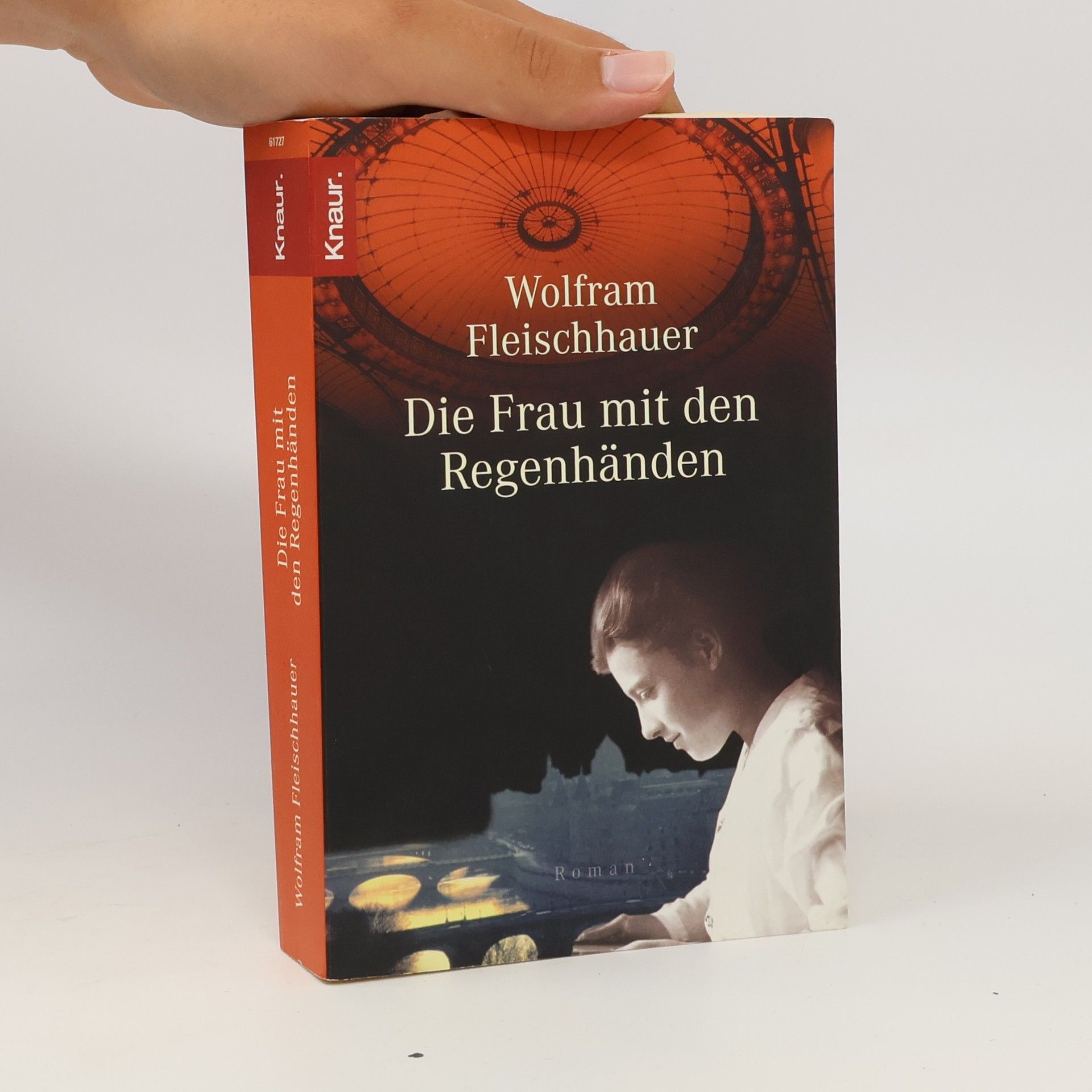 Wolfram Fleischhauer Die Frau mit den Regenhänden