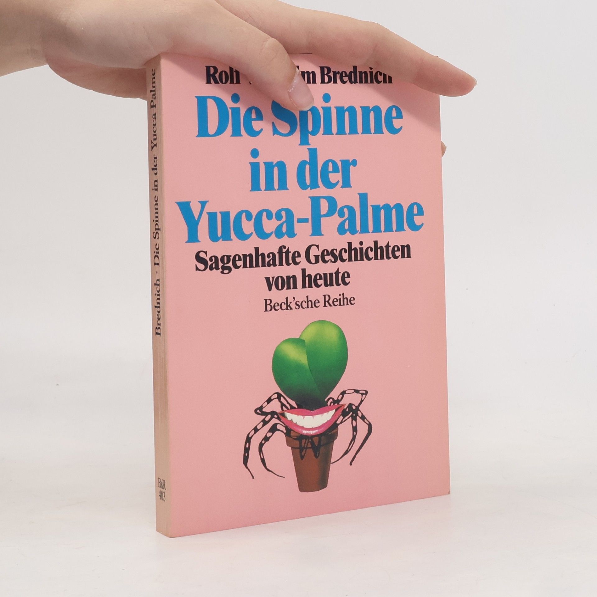 Rolf Wilhelm Brednich Die Spinne in der Yucca-Palme