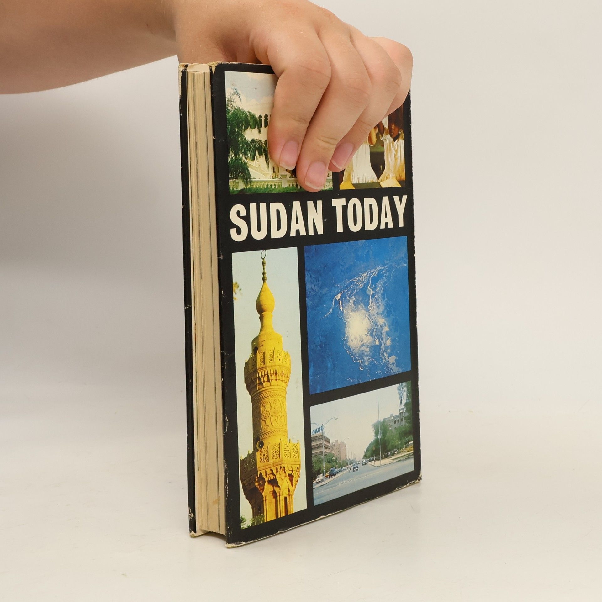 Various authors Sudan Today