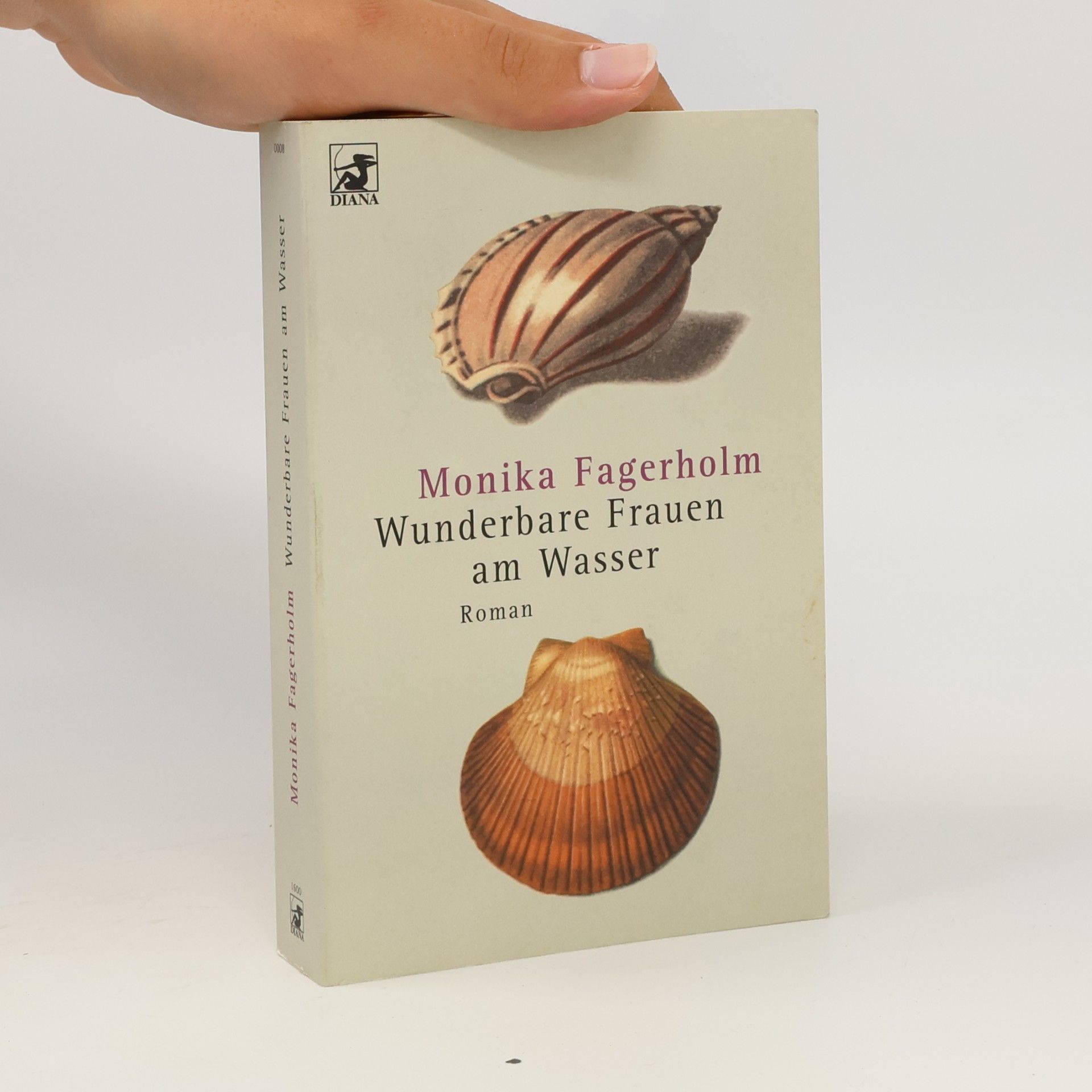 Monika Fagerholm Wunderbare Frauen am Wasser