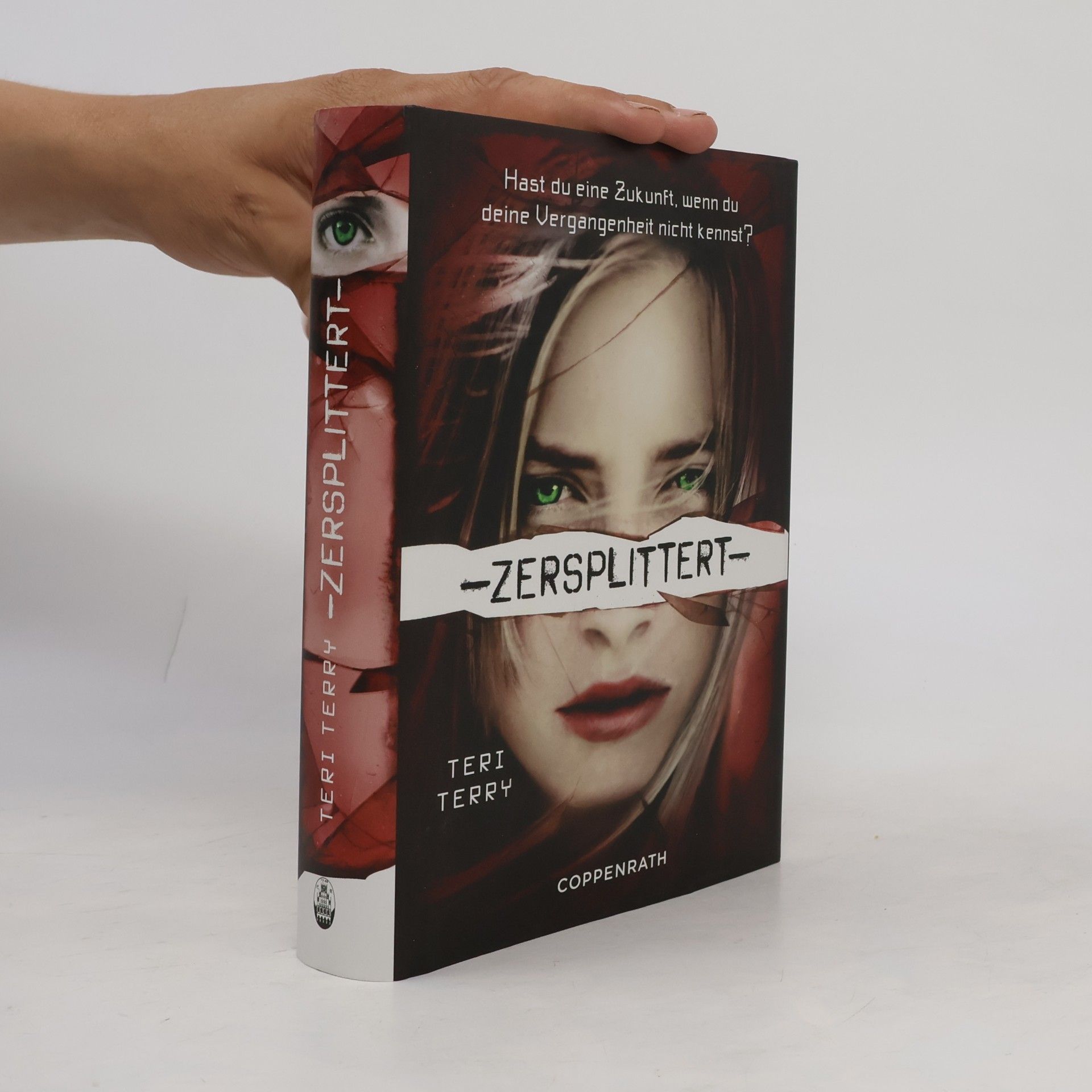 Teri Terry Zersplittert