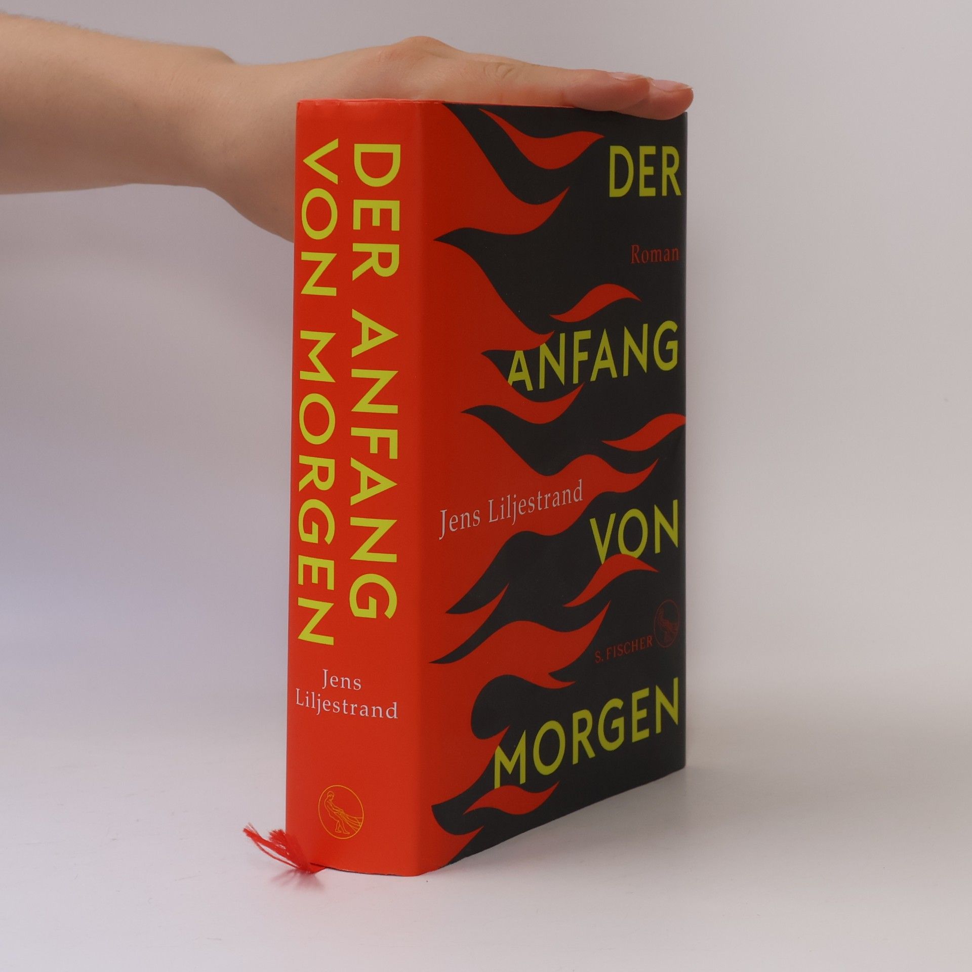 Jens Liljestrand Der Anfang von Morgen