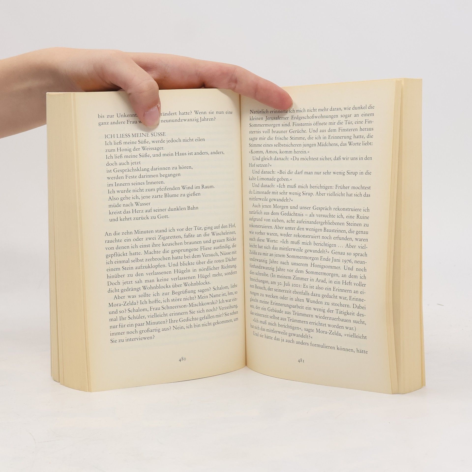Amos Oz Eine Geschichte von Liebe und Finsternis