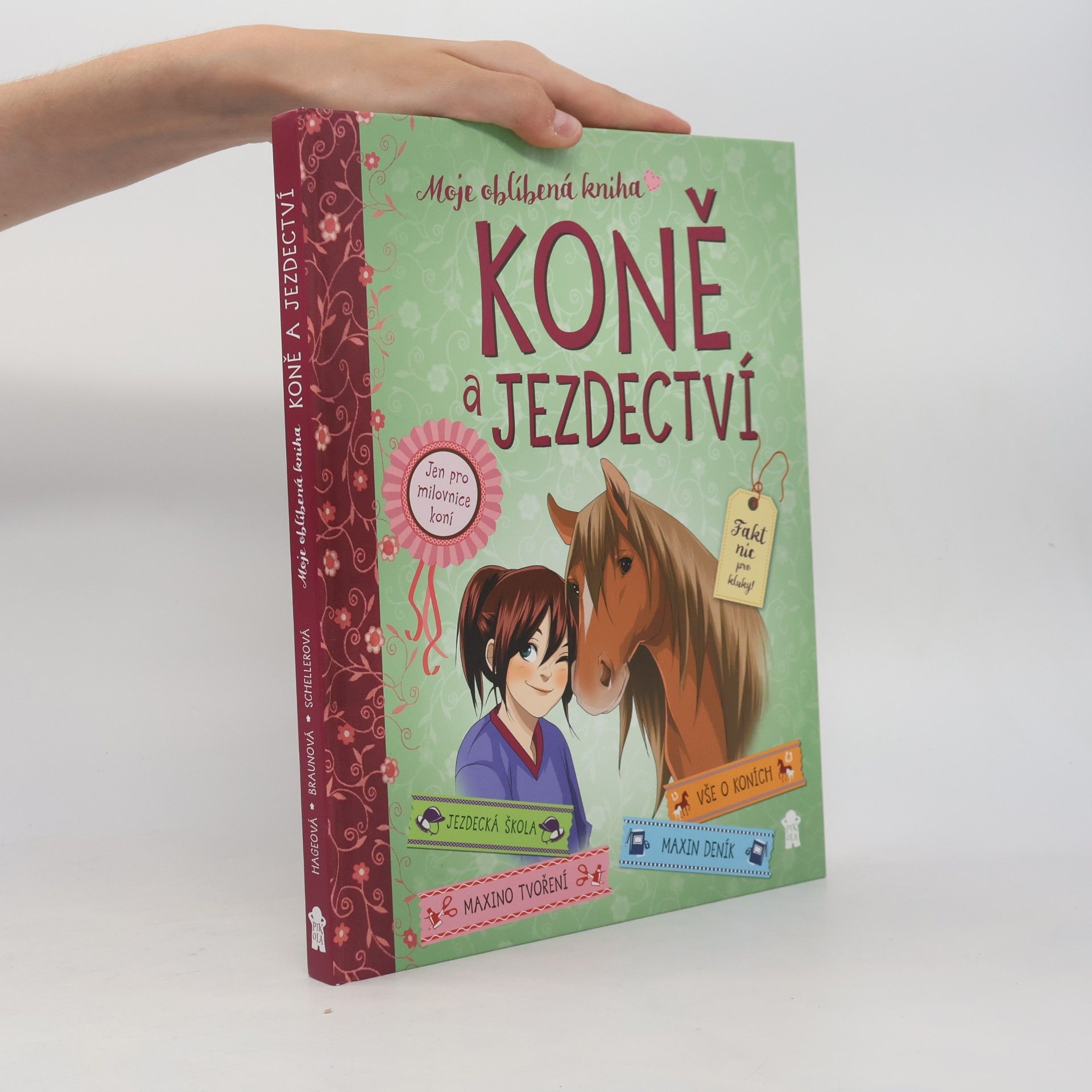 Gudrun Braun Koně a jezdectví - Moje oblíbená kniha