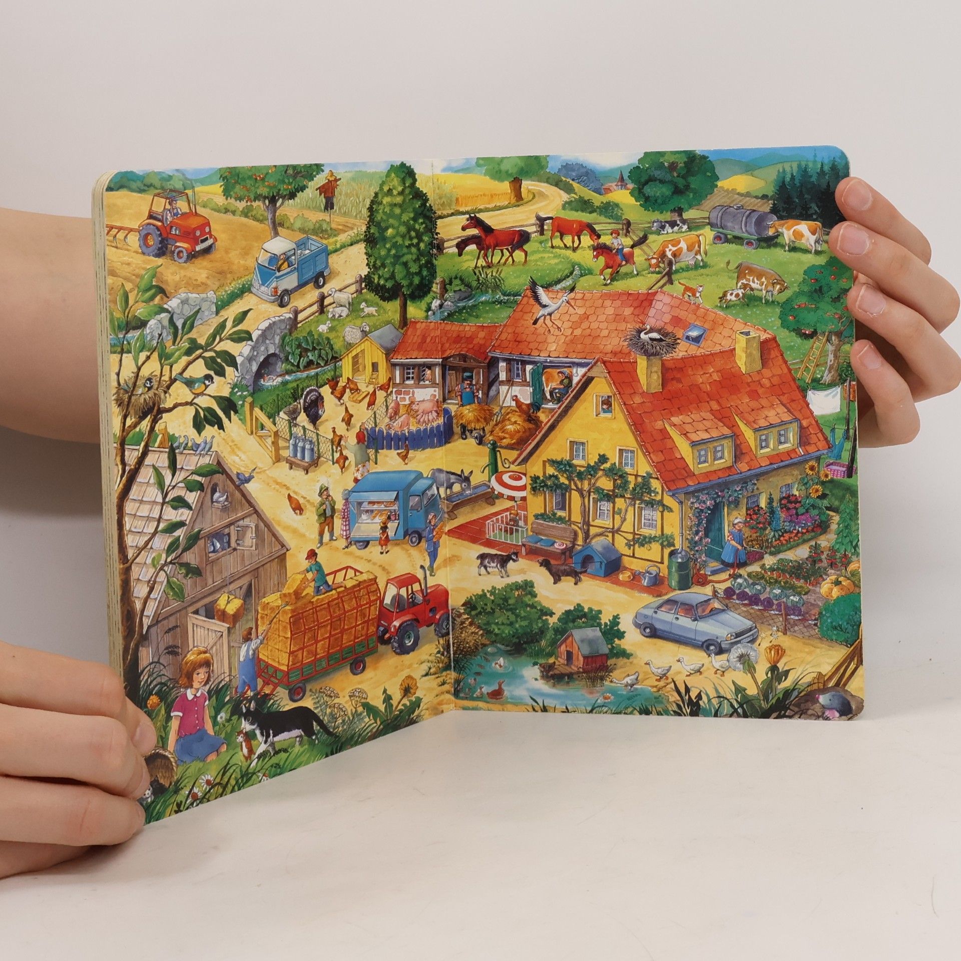 Anne Suess Wimmelbuch Auf dem Bauernhof
