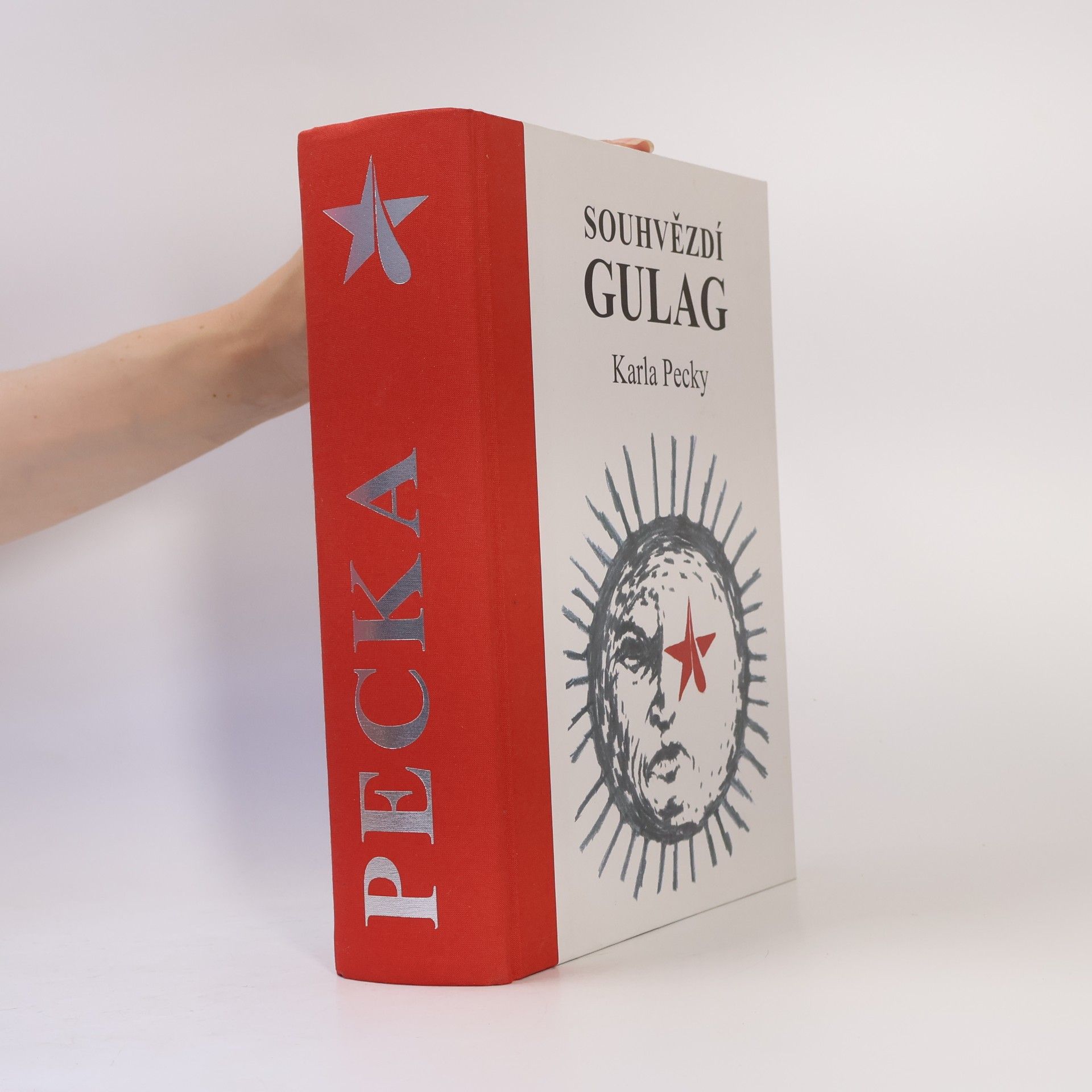 Souhvězdí Gulag Karla Pecky