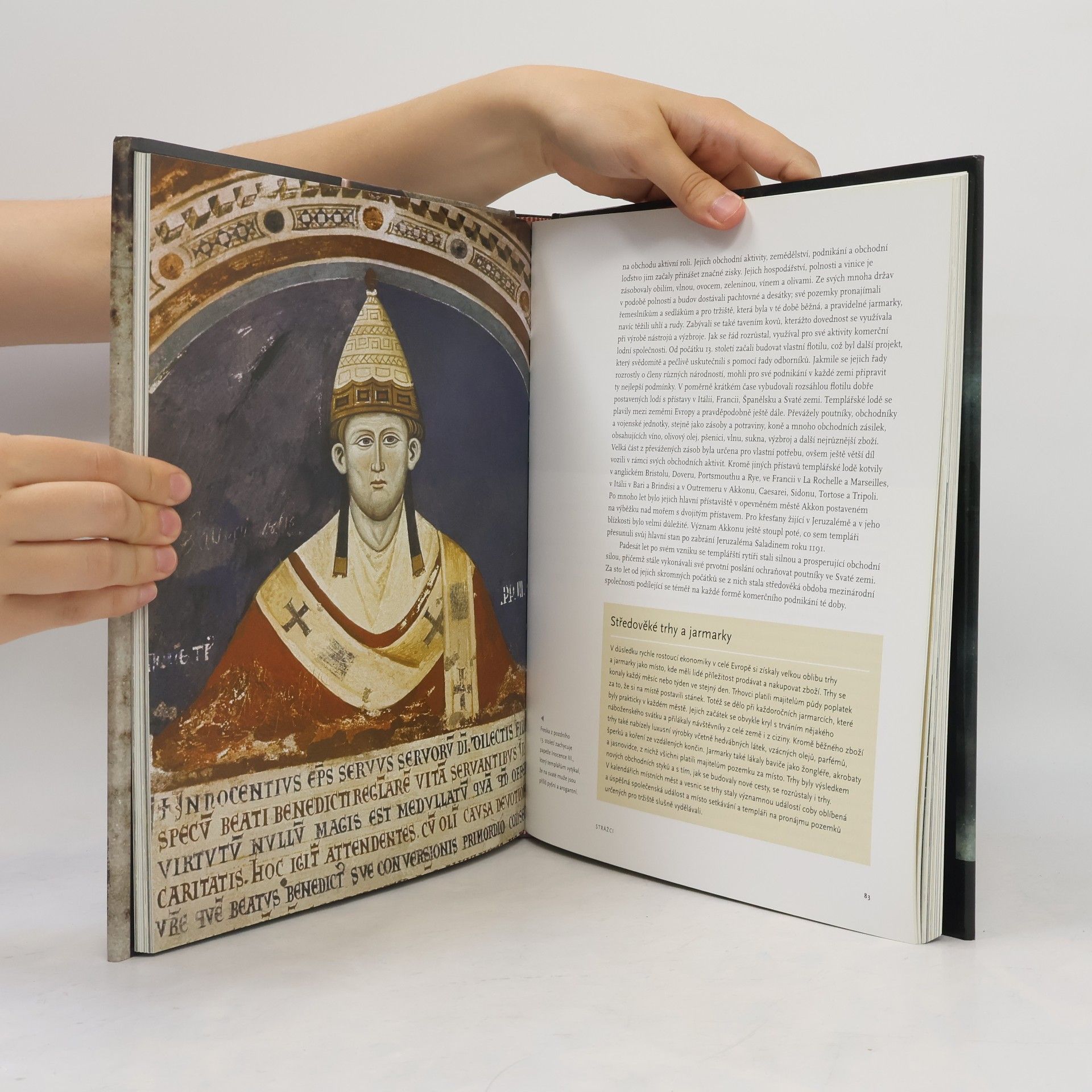 Susie Hodge Tajemství templářských rytířů