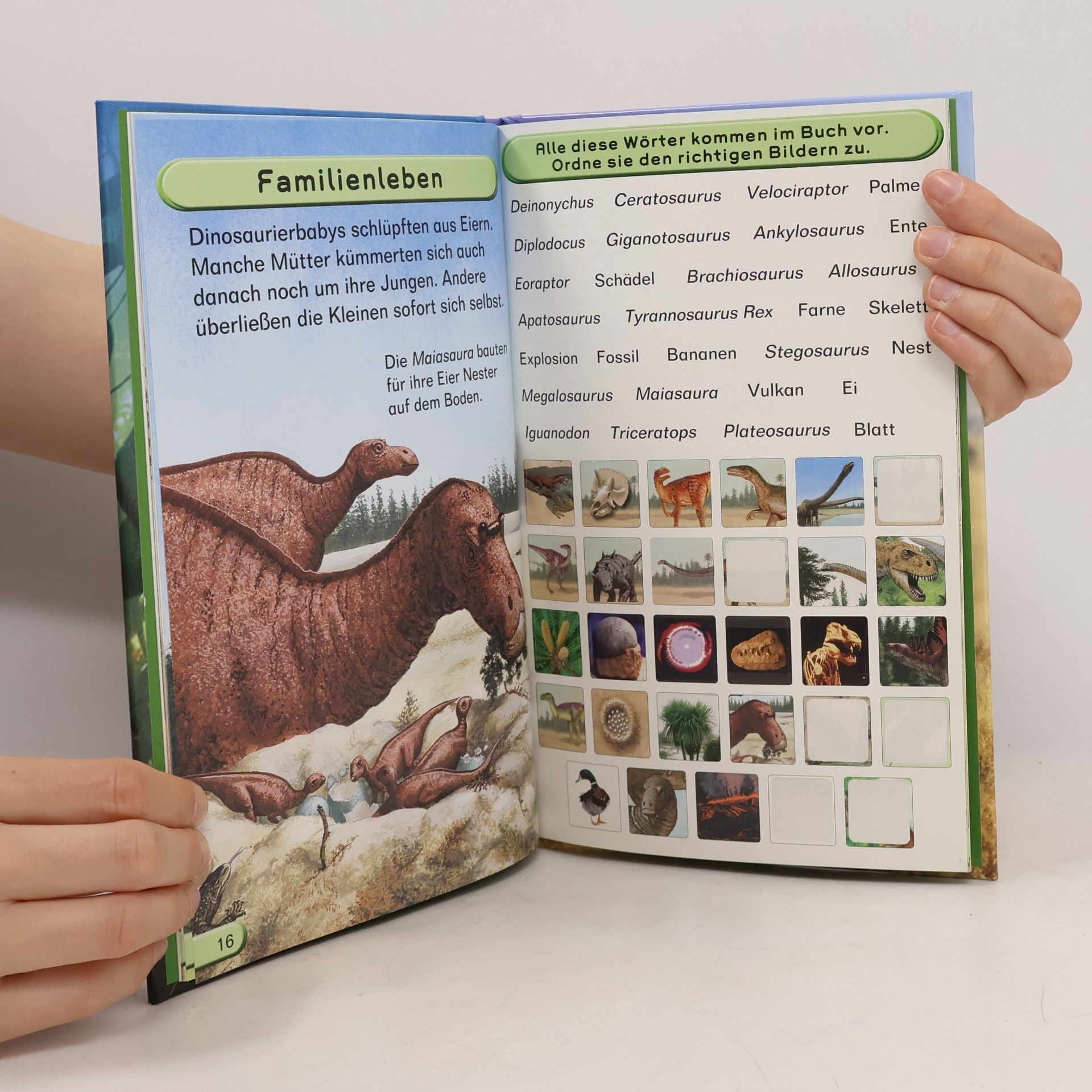 Janine Amos Lesen & Entdecken. Dinosaurier