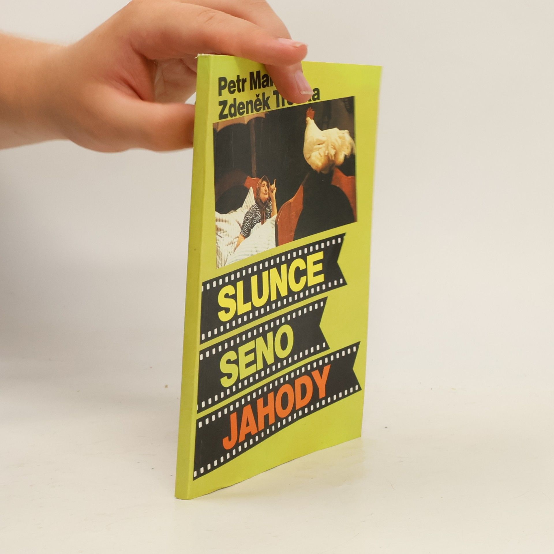 Zdeněk Troška Slunce, seno, jahody