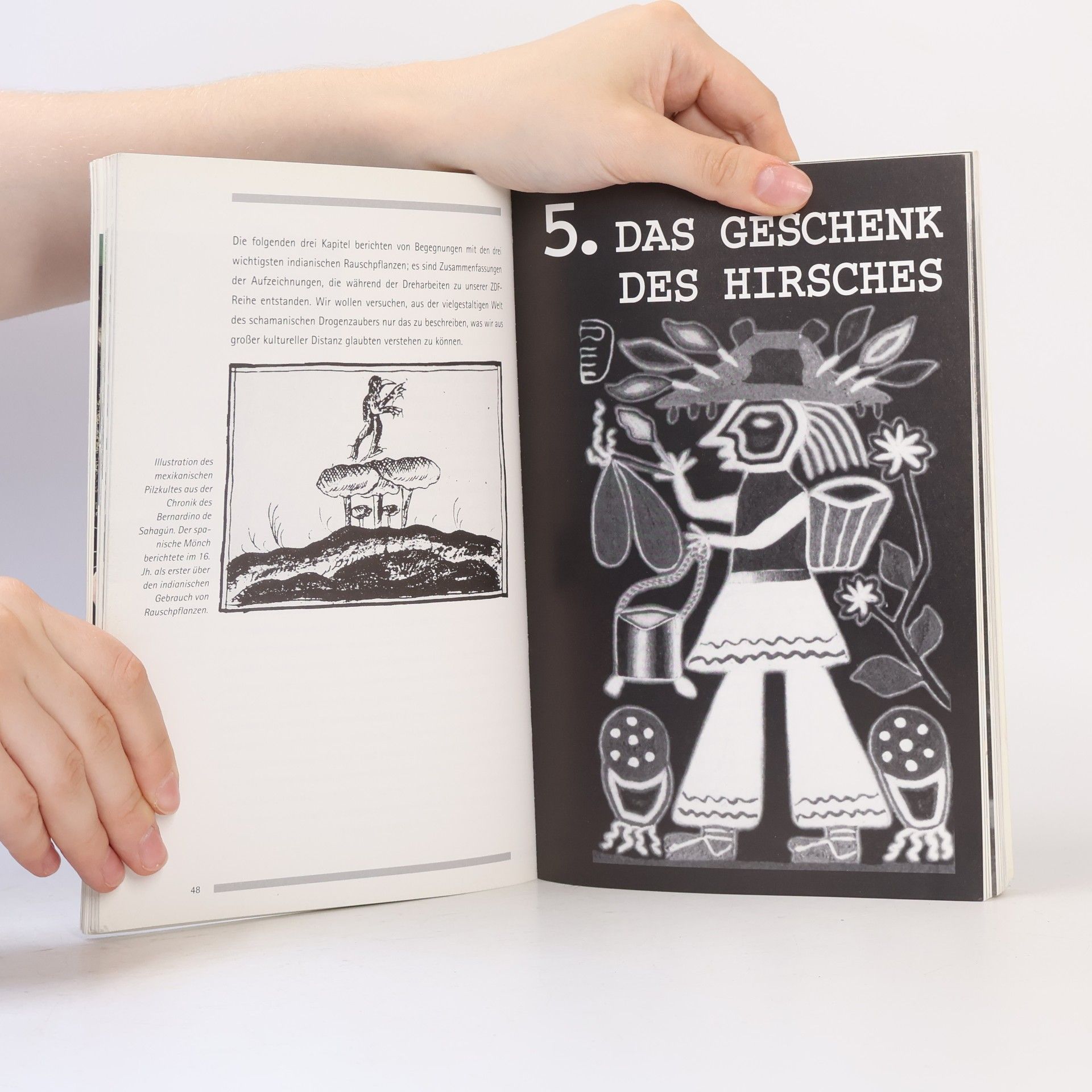 Peter Leippe Gegenwelt Rauschgift