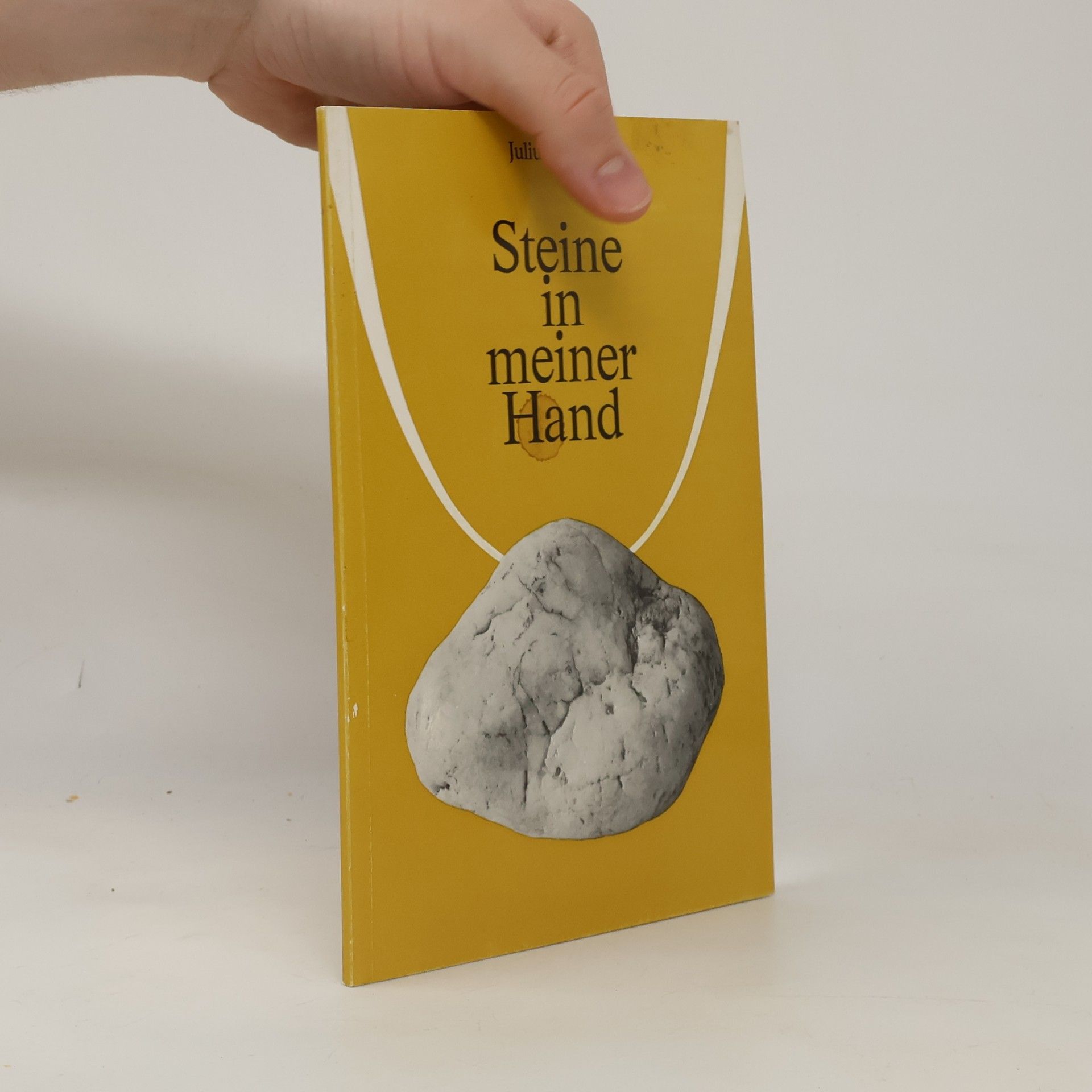 Julius Hügel Steine in meiner Hand
