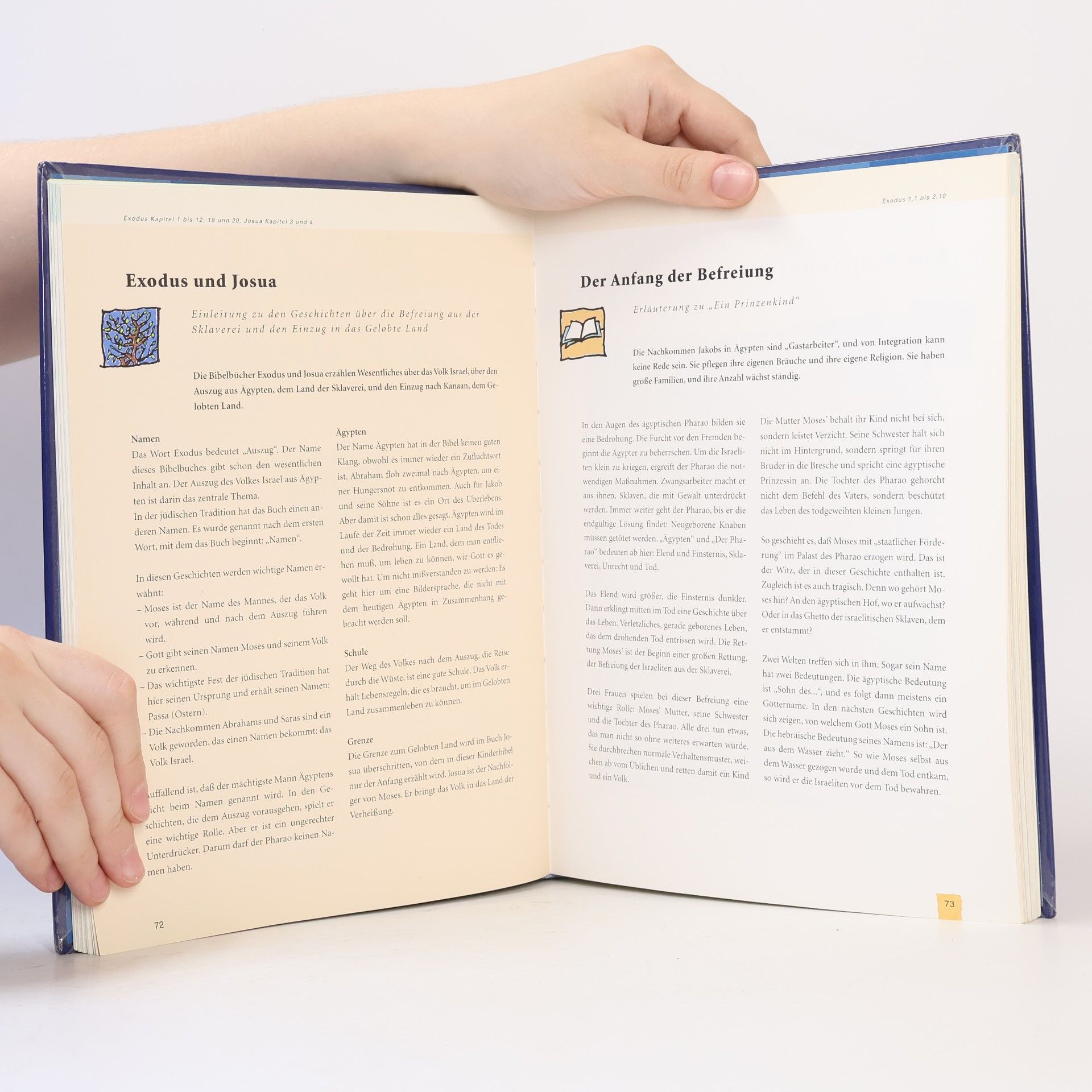 Autorenkollektiv Am Anfang...Eine Bibel für Kinder