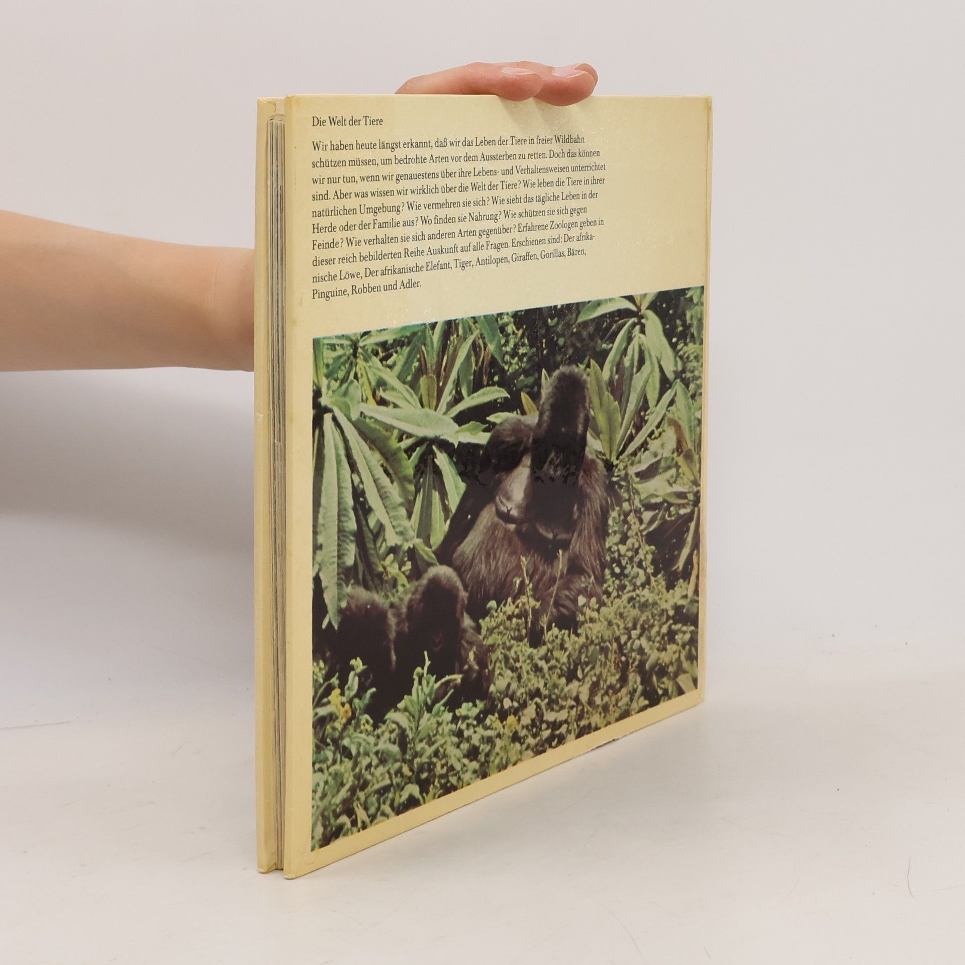Colin P. Colin Peter Groves Gorillas. Die Welt der Tiere.