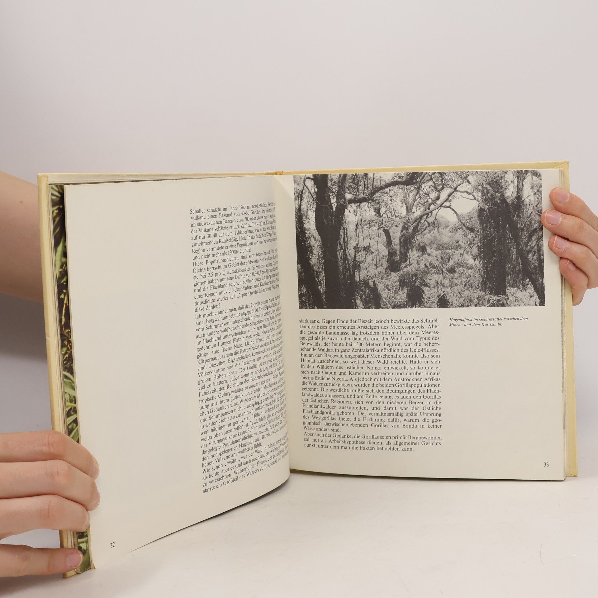 Colin P. Colin Peter Groves Gorillas. Die Welt der Tiere.