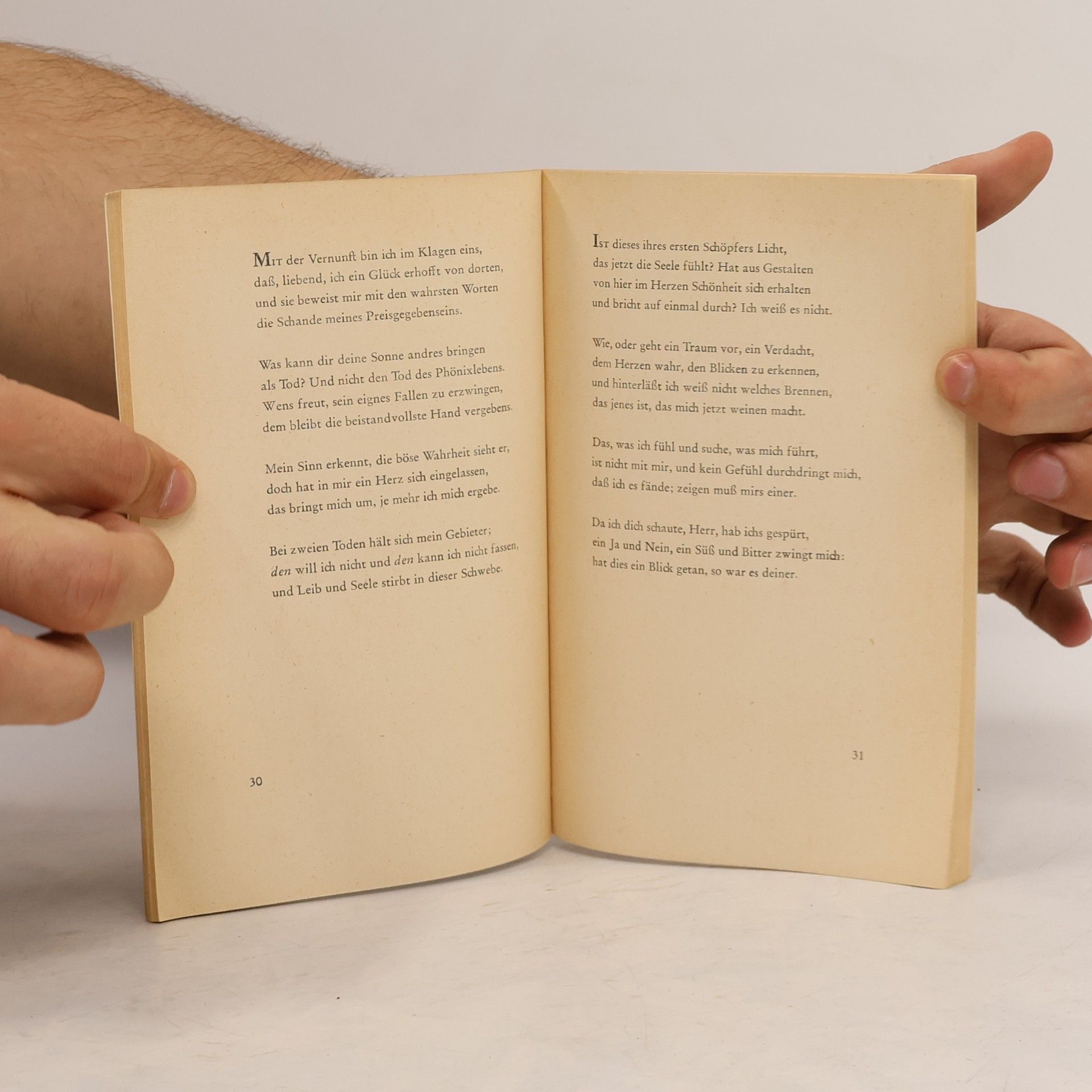 Rainer Maria Rilke Dichtungen des Michalangelo