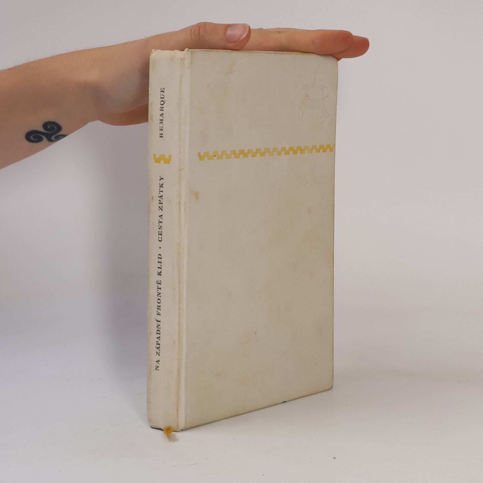 Erich Maria Remarque Na západní frontě klid / Cesta zpátky