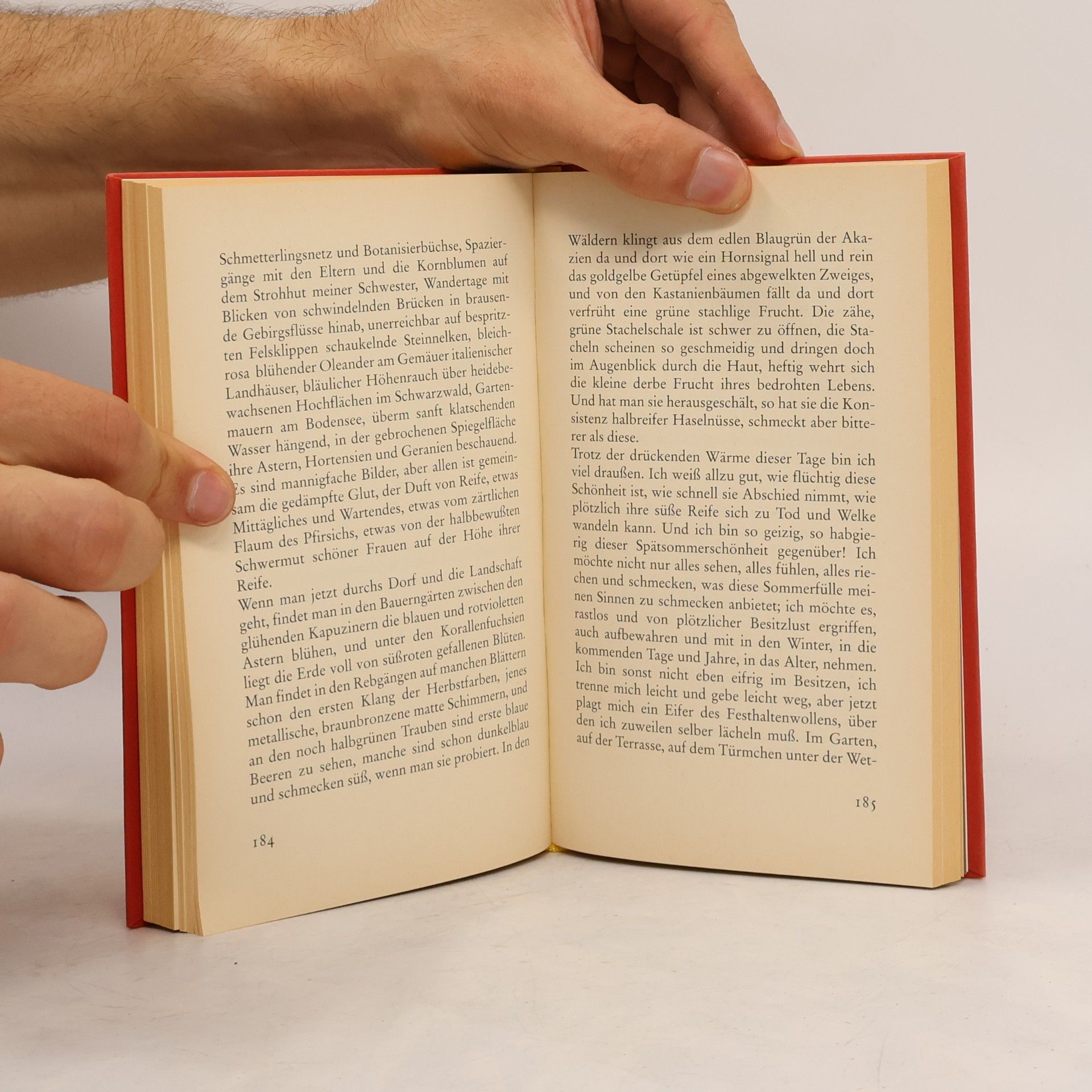 Hermann Hesse Über das Glück