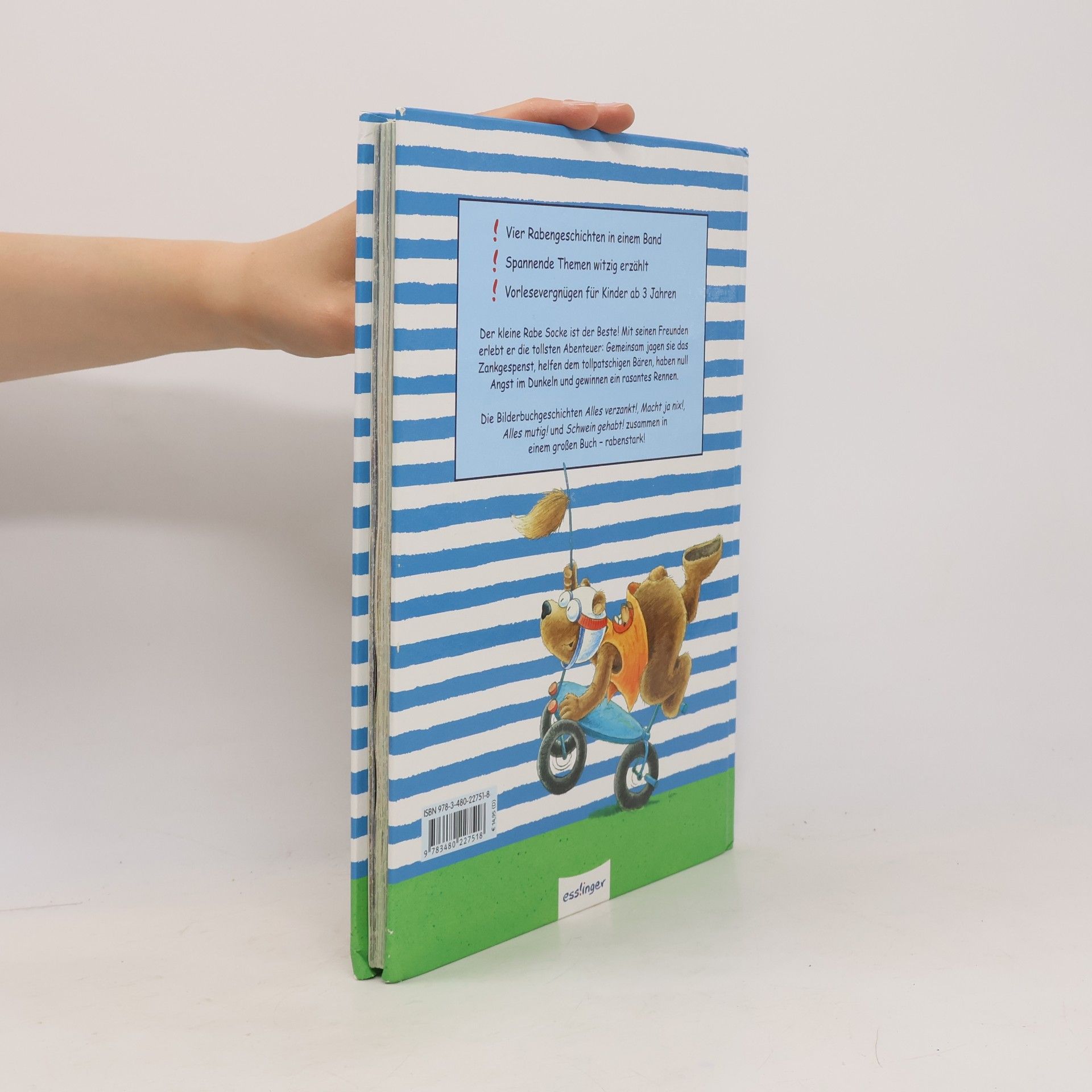 Nele Moost Das neue grosse Buch vom kleinen Raben Socke