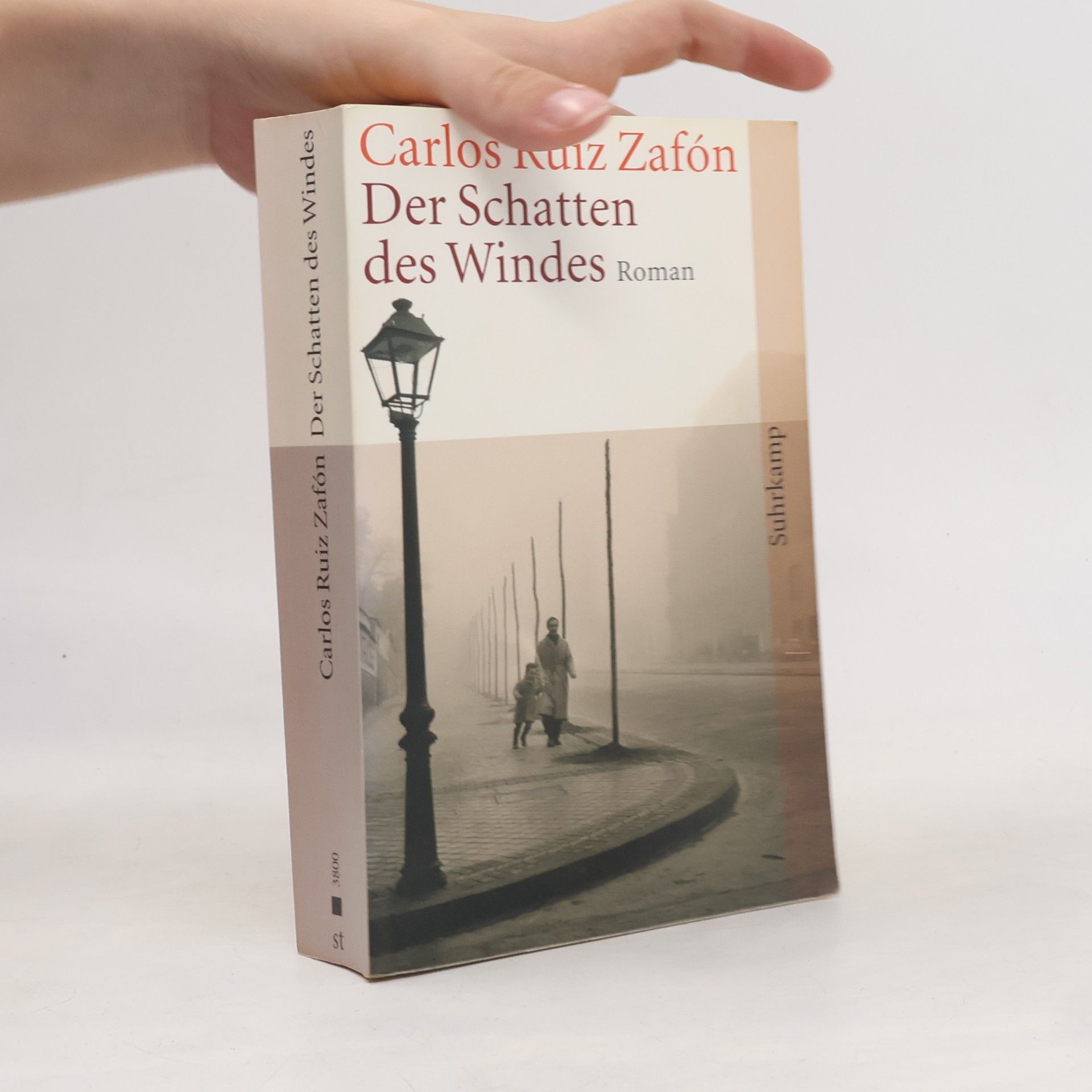 Carlos Ruiz Safon Der Schatten des Windes