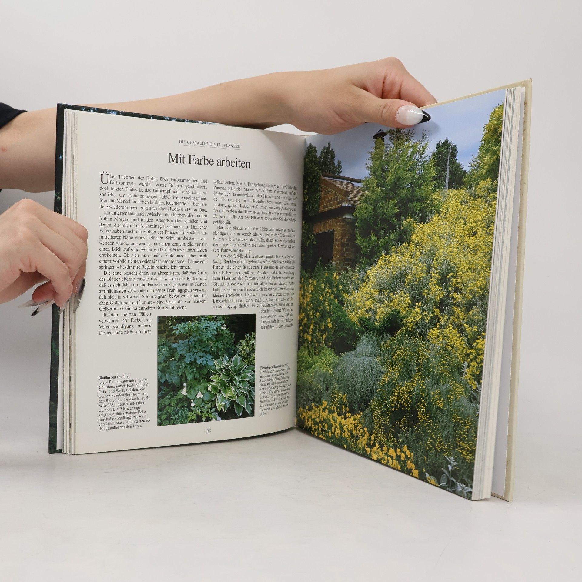 John Brookes Meine große Gartenschule