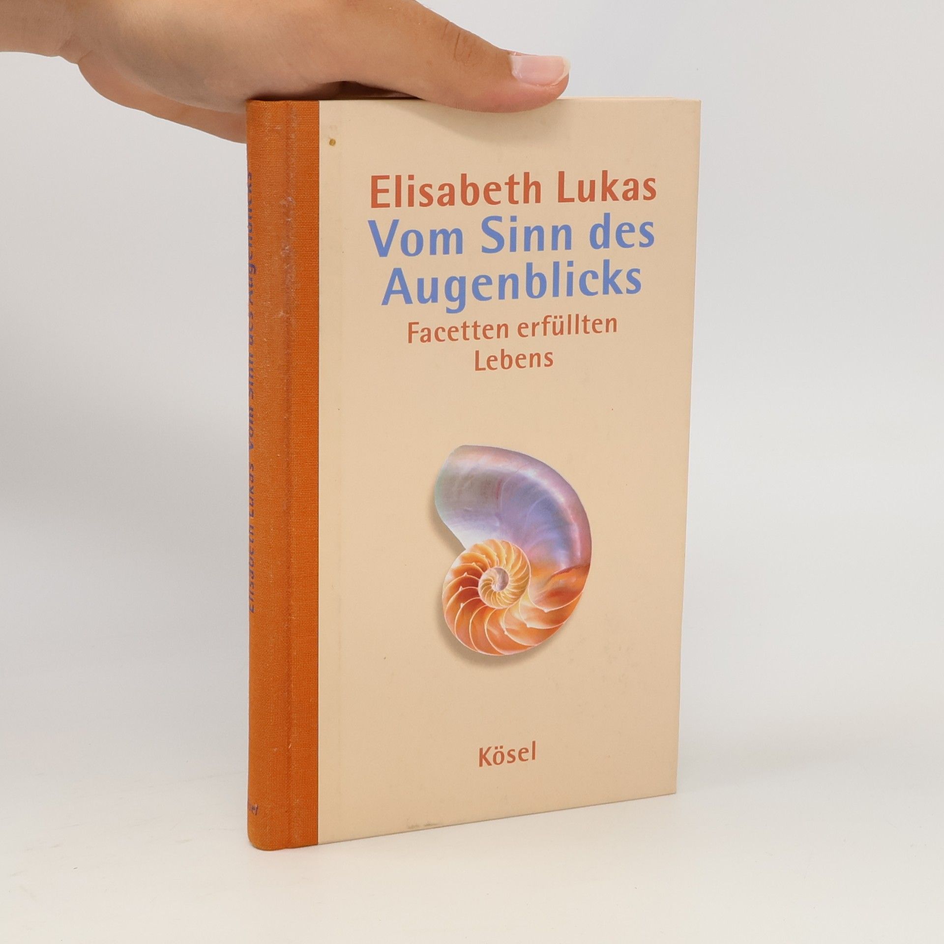 Elisabeth Lukas-Götz Vom Sinn des Augenblicks