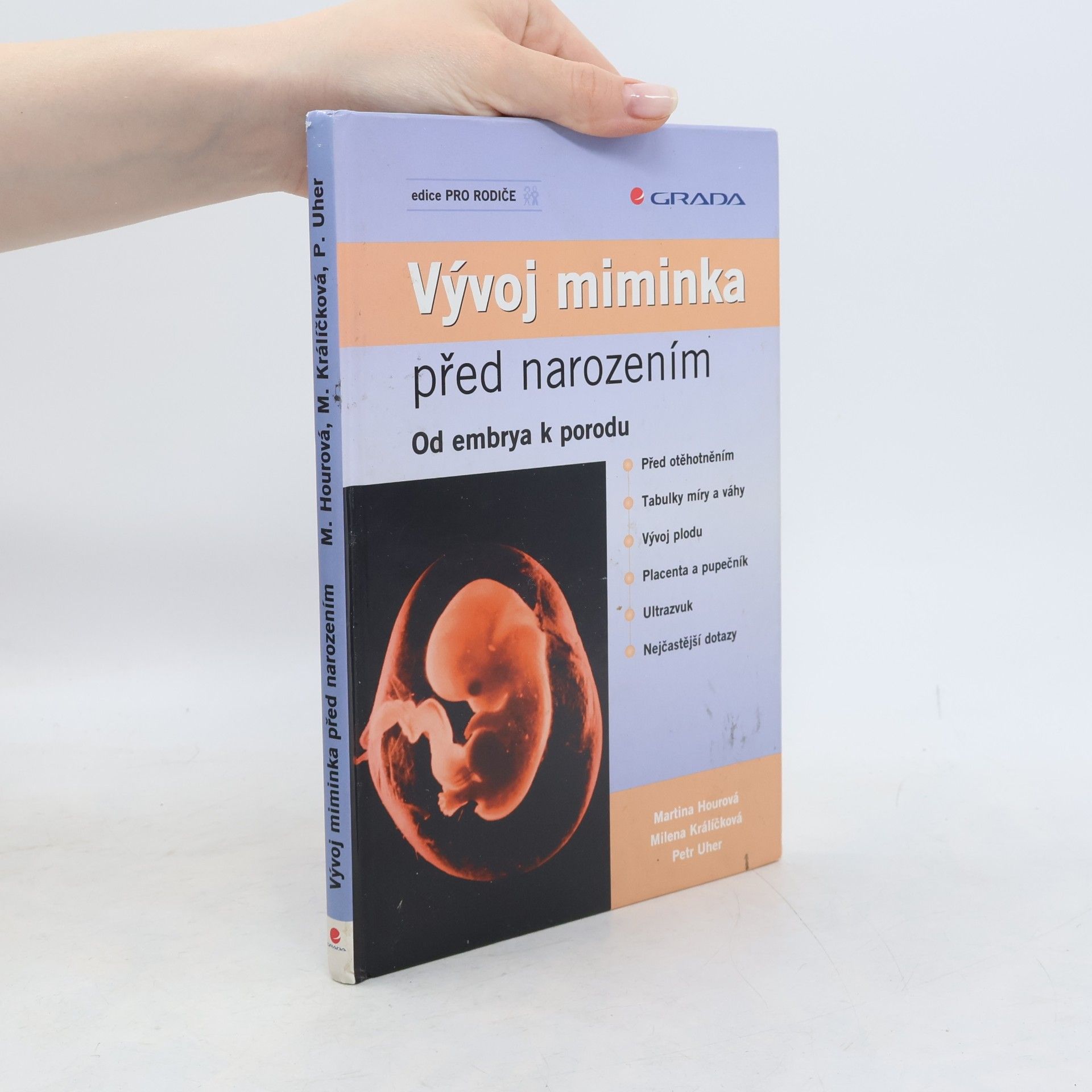 Milena Králíčková Vývoj miminka před narozením
