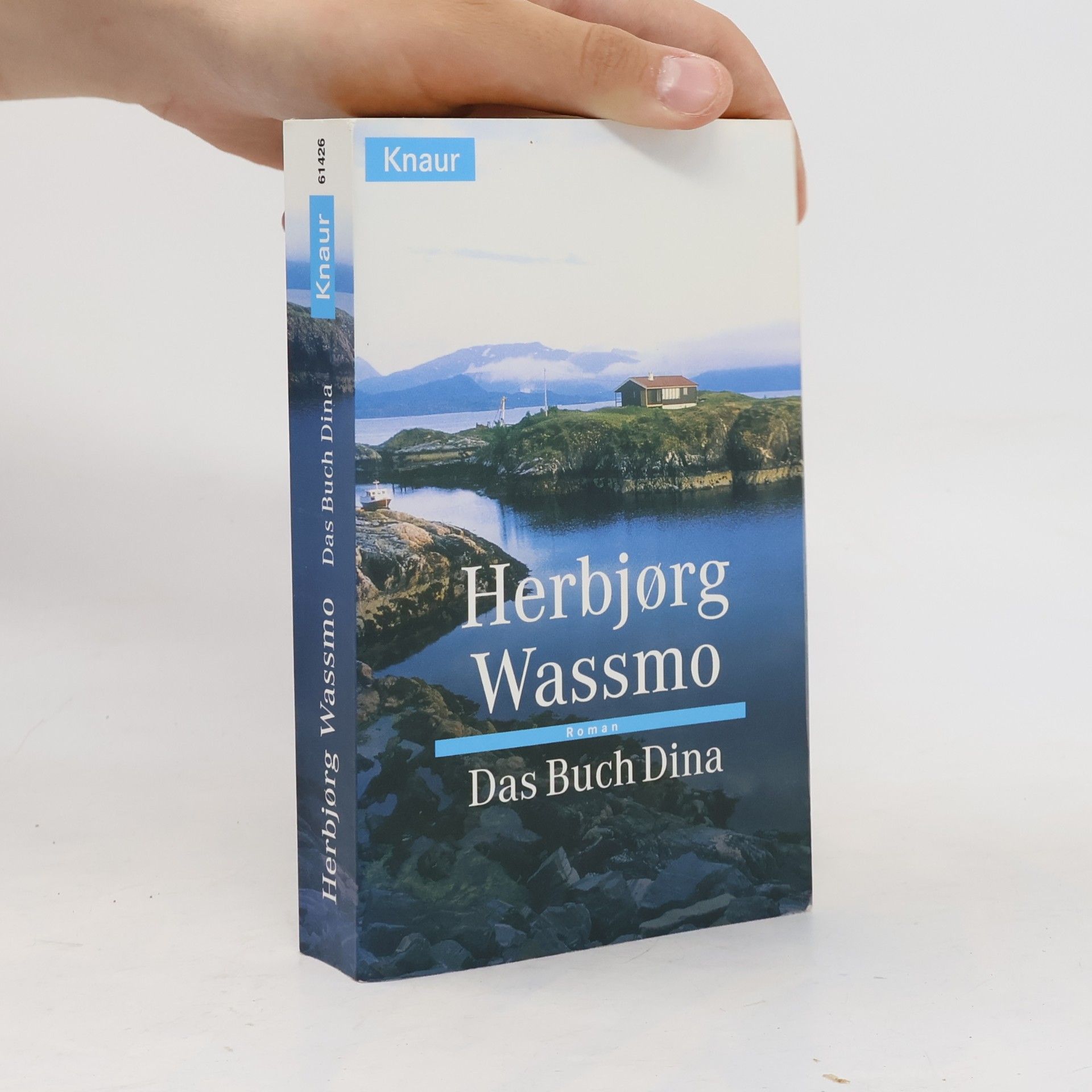 Herbjorg Wassmo Das Buch Dina