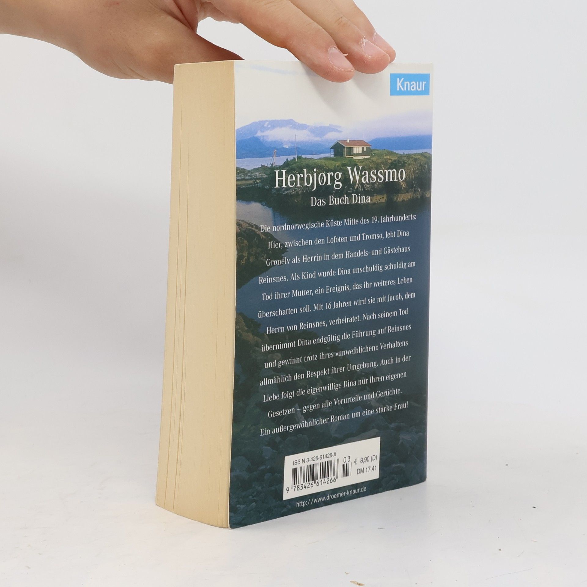 Herbjørg Wassmo Das Buch Dina