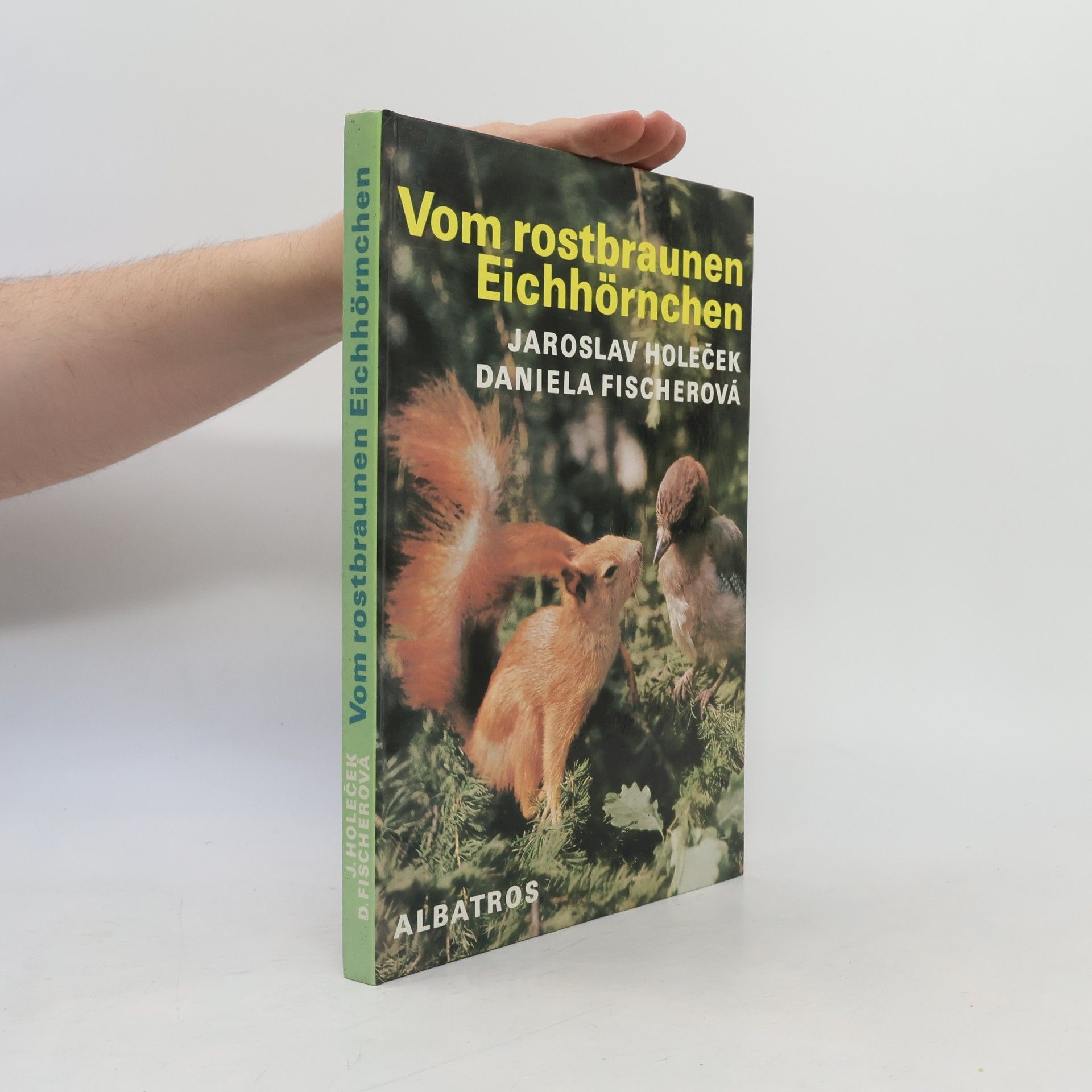 Daniela Fischer Vom rostbraunen Eichhörnchen
