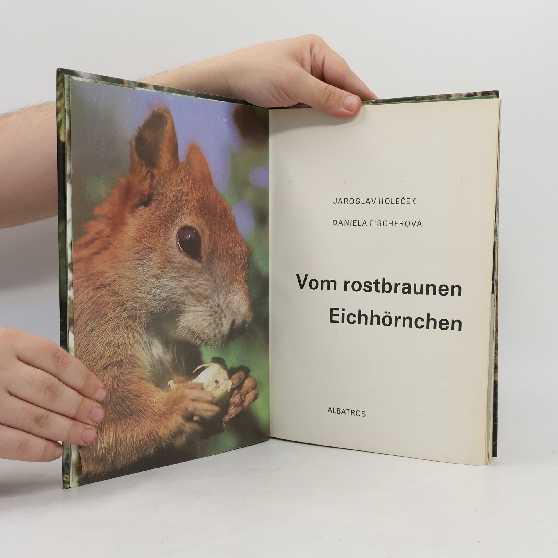 Jaroslav Holeček Vom rostbraunen Eichhörnchen