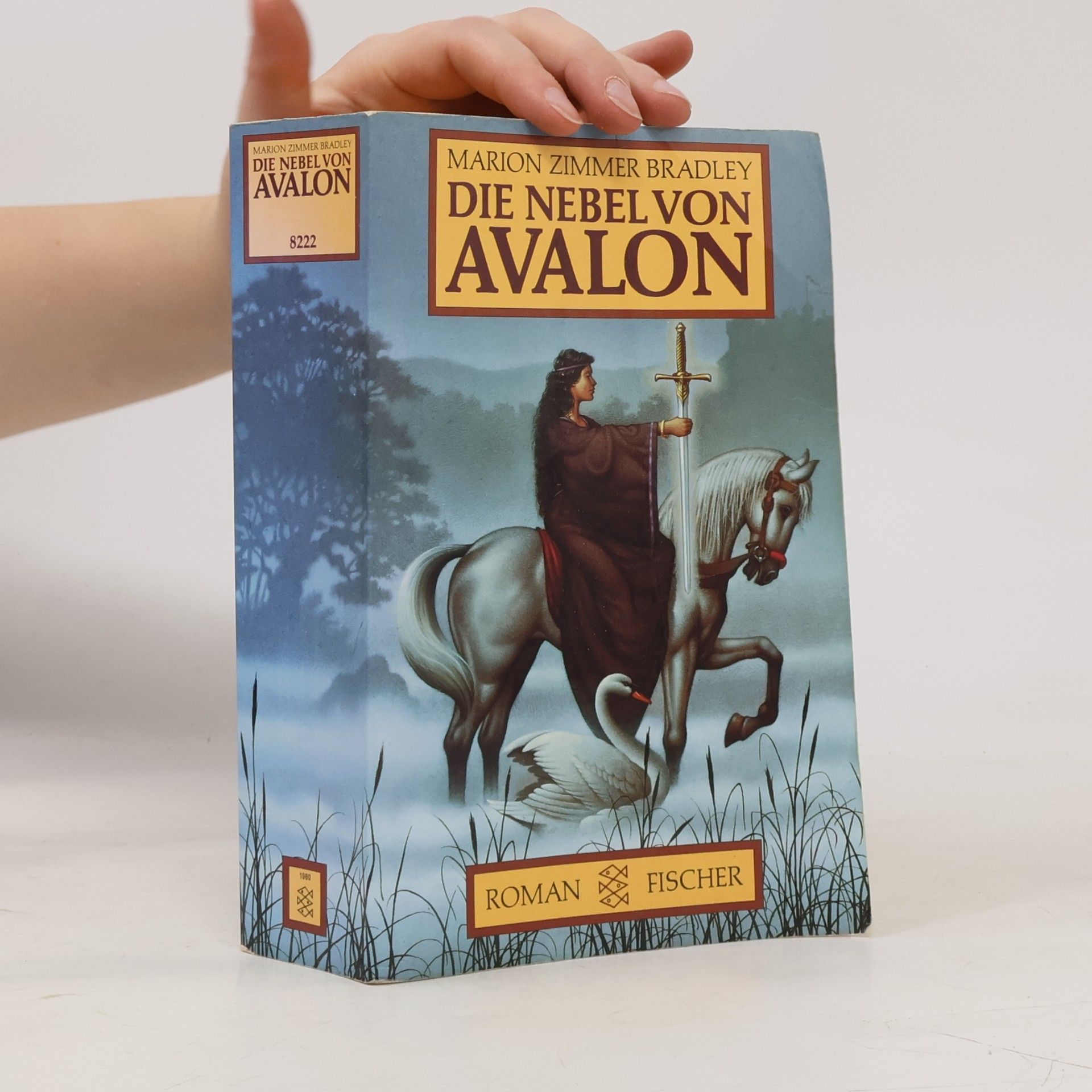 Marion Zimmer Bradley Die Nebel von Avalon
