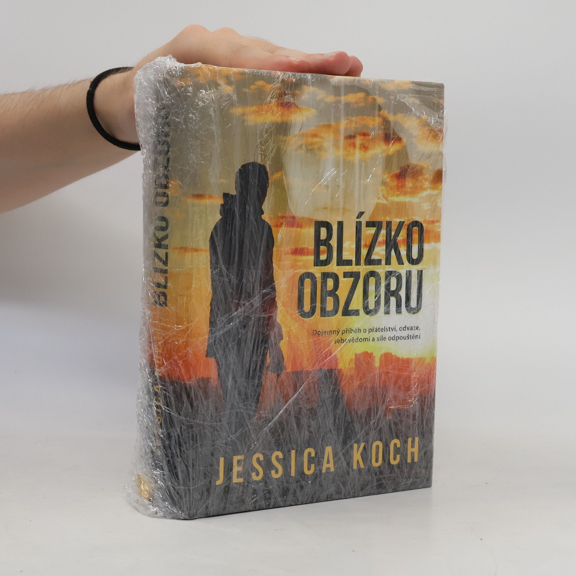 Jessica Koch Blízko obzoru