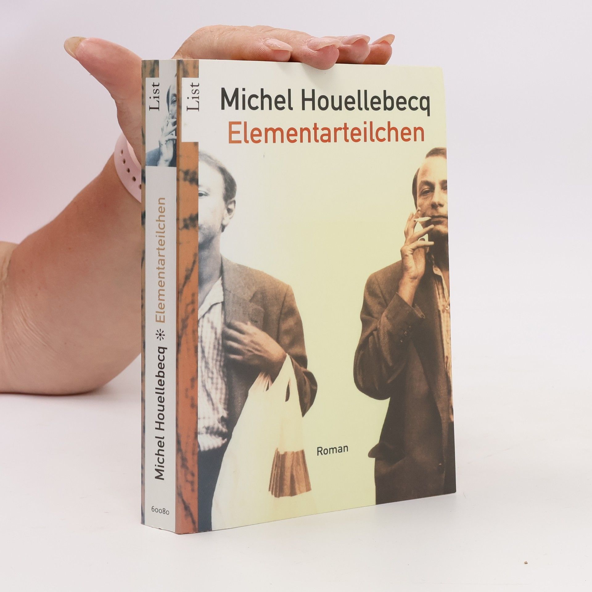 Michel Houellebecq Elementarteilchen