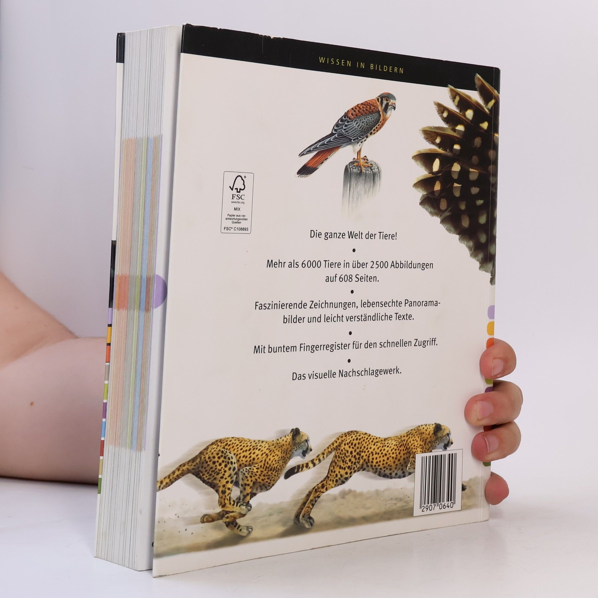 Various authors Mein Bildlexikon Tiere