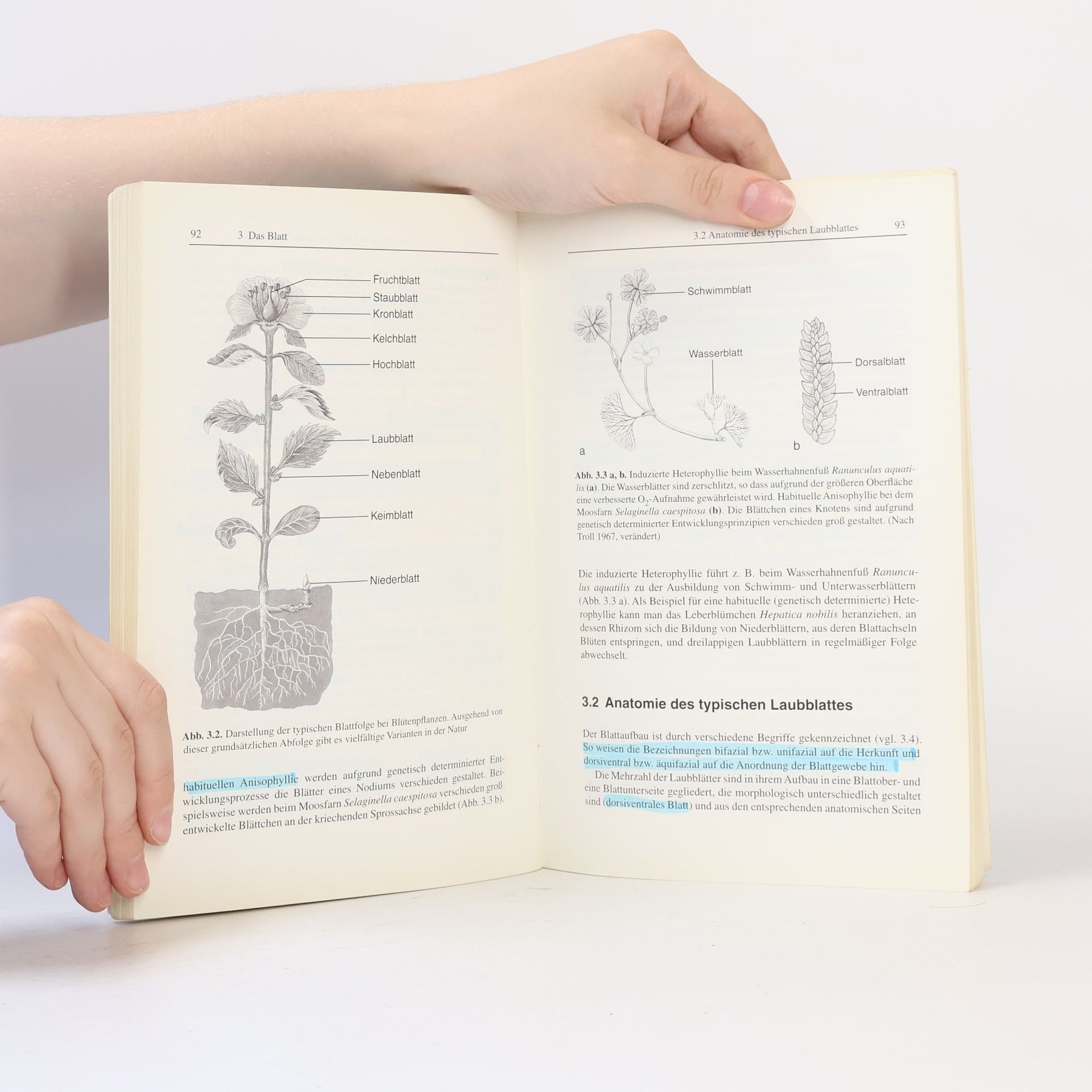 Ulrich Kück Botanisches Grundpraktikum