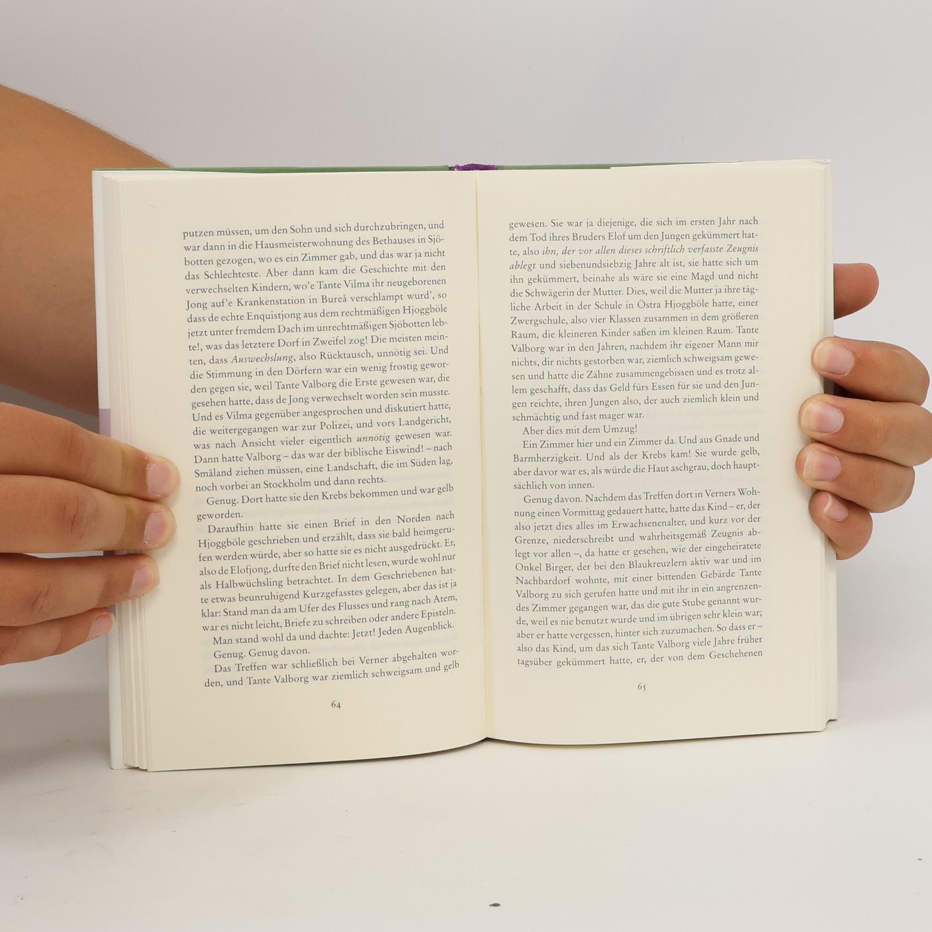 Per Olov Enquist Das Buch der Gleichnisse