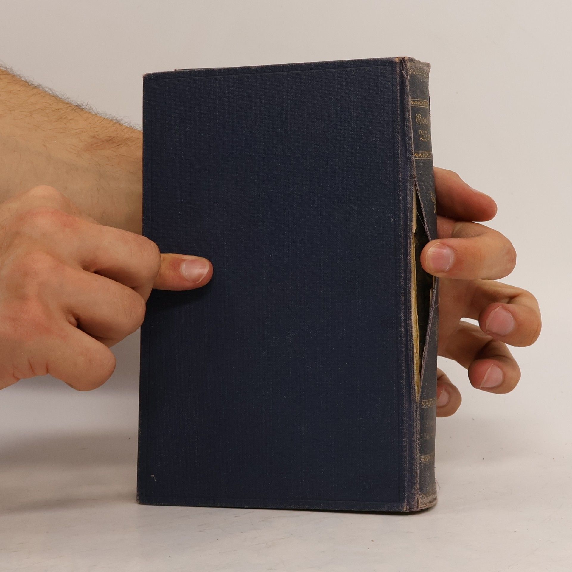 Johann Wolfgang von Goethe Goethes Werke. Auswahl in fünfzehn Bänden