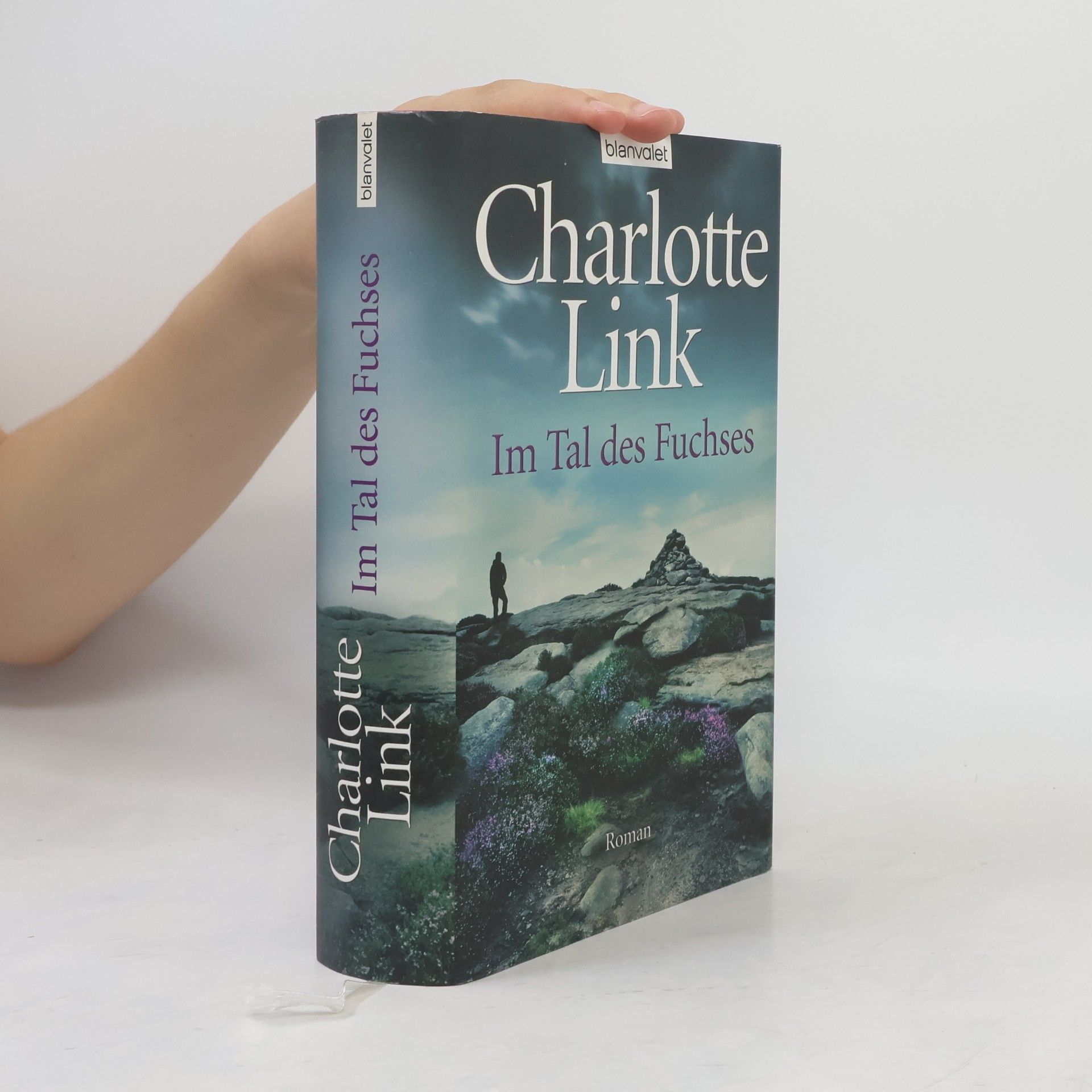 Charlotte Link Im Tal des Fuchses
