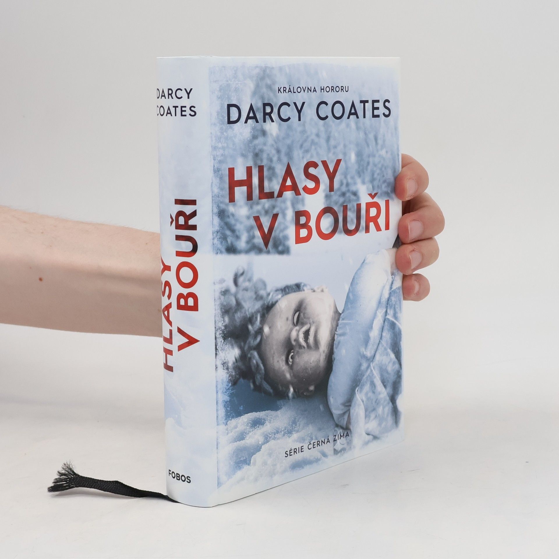 Darcy Coates Hlasy v bouři