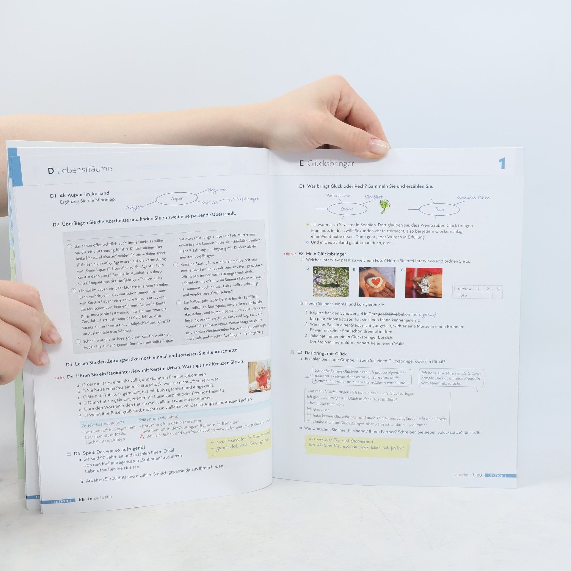 Silke Hilpert Schritte international Neu 5. Kursbuch+Arbeitsbuch