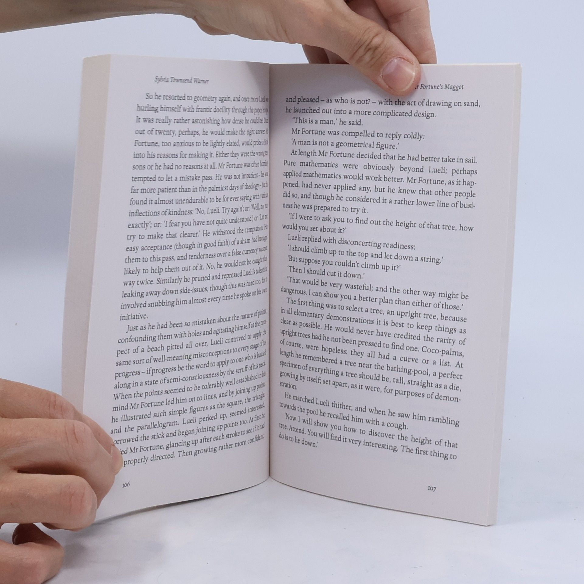 Sylvia Townsend Warner Mr Fortune's Maggot