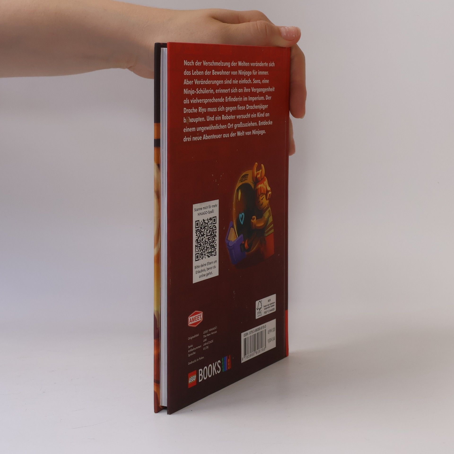 AMEET Verlag LEGO® NINJAGO® - Die neuen Helden